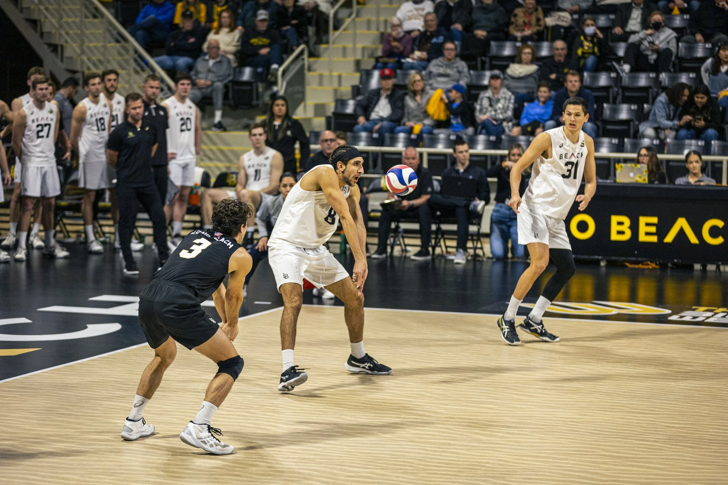 3-3 CSULB Volleyball-134.jpg