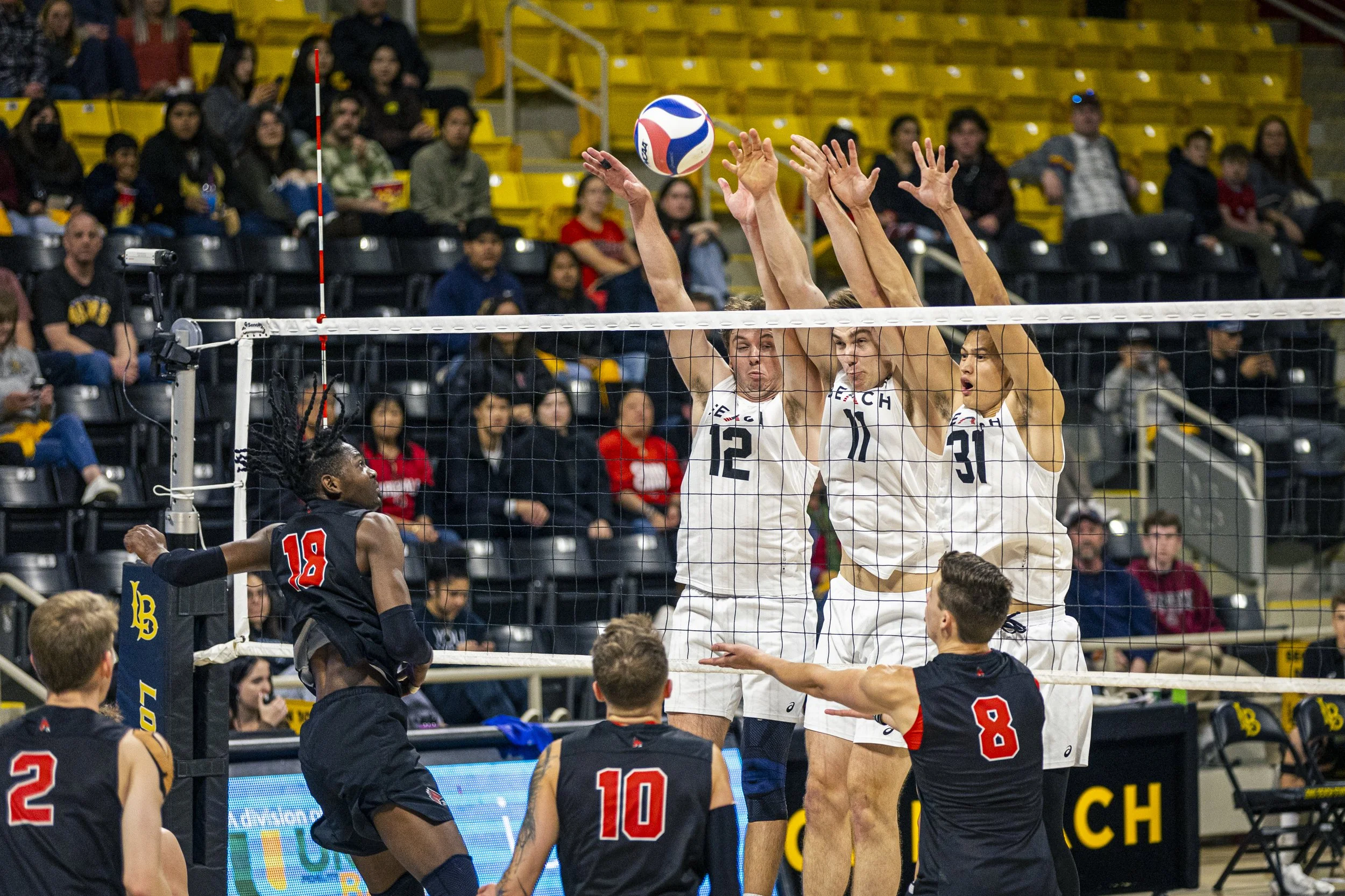 3-3 CSULB Volleyball-104.jpg
