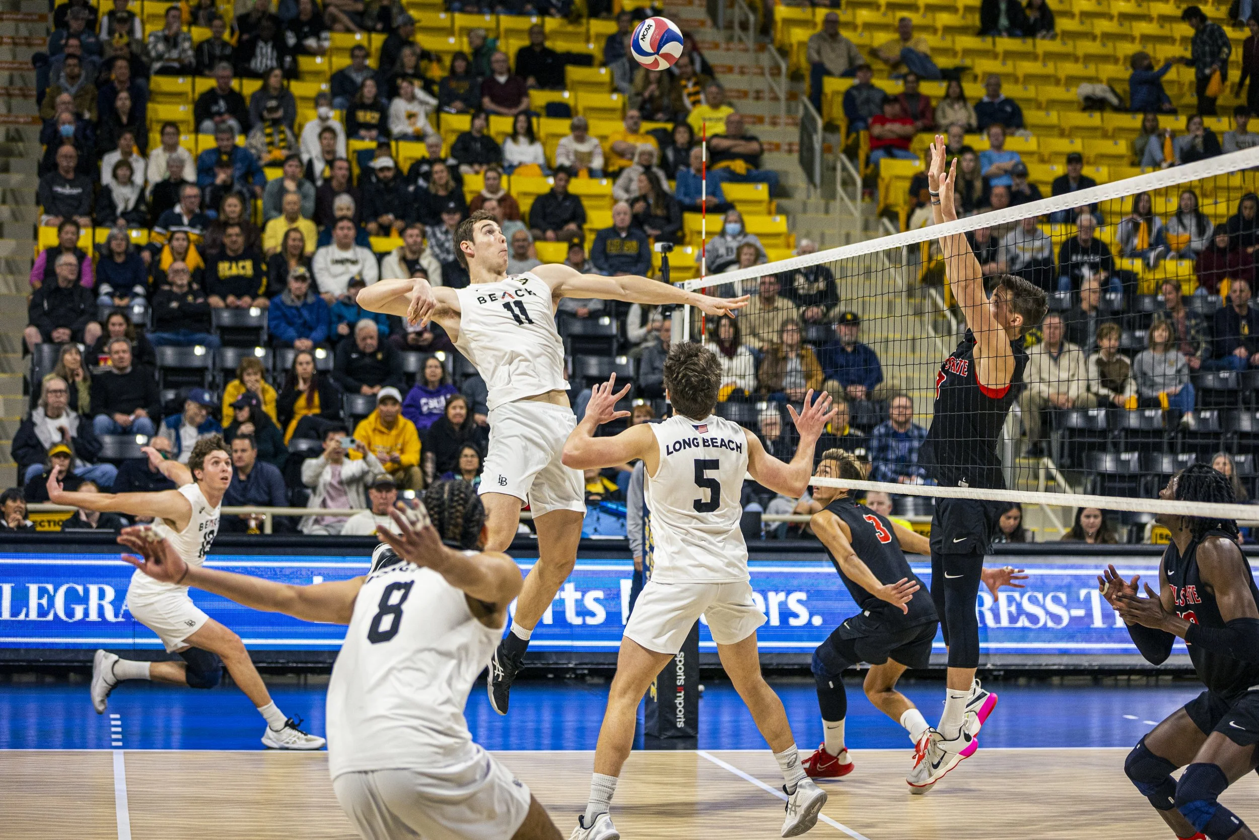 3-3 CSULB Volleyball-31.jpg