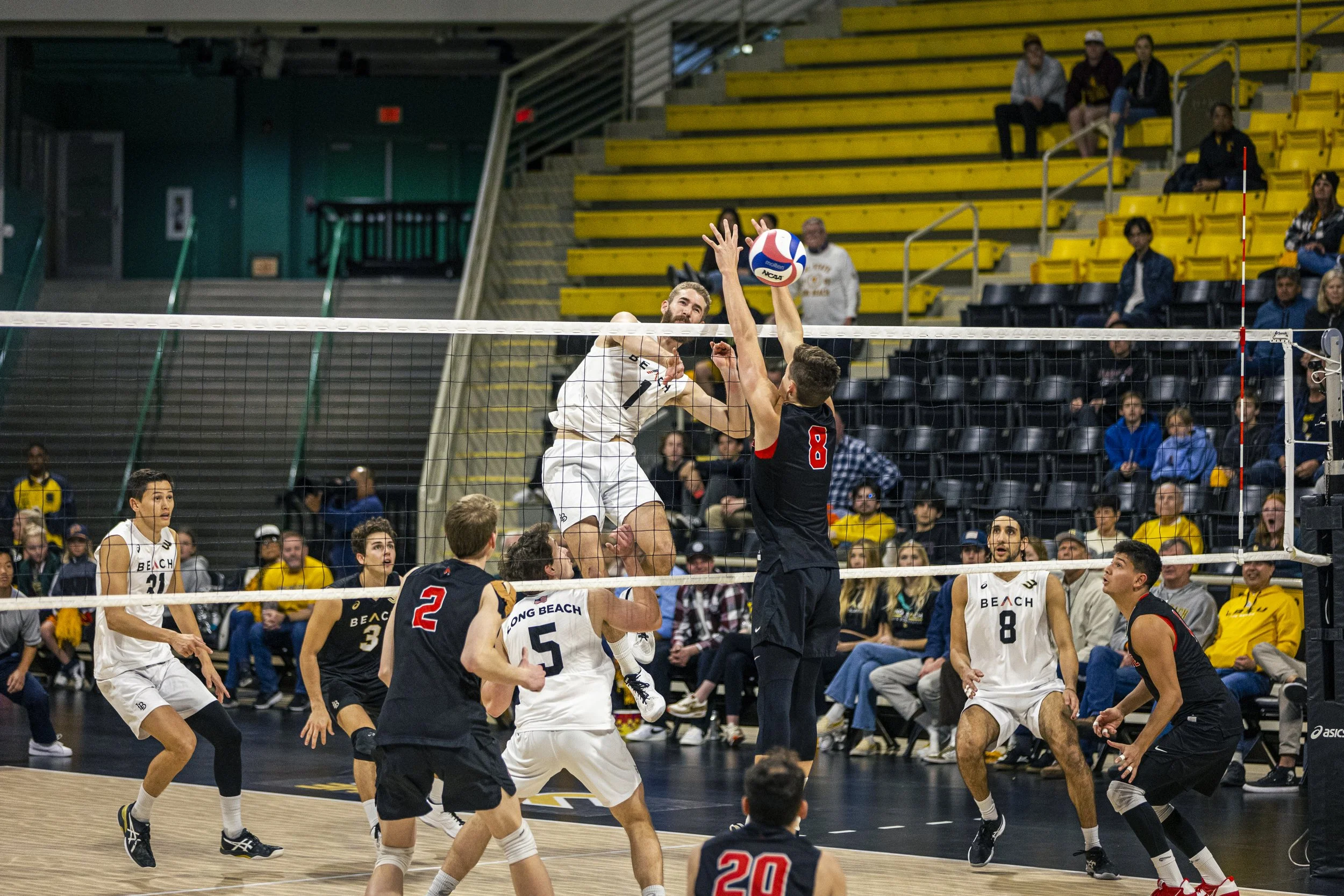 3-3 CSULB Volleyball-214.jpg