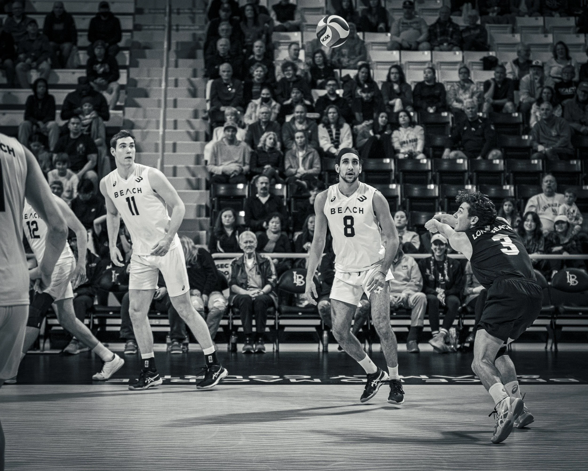 3-3 CSULB Volleyball-60.jpg
