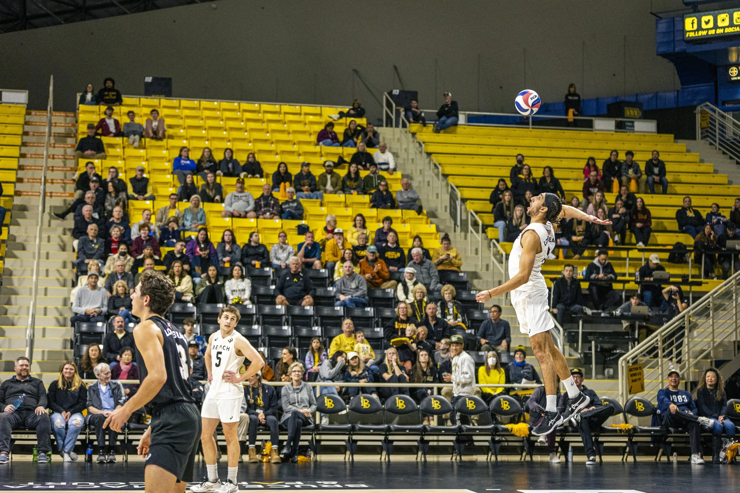 3-3 CSULB Volleyball-53.jpg