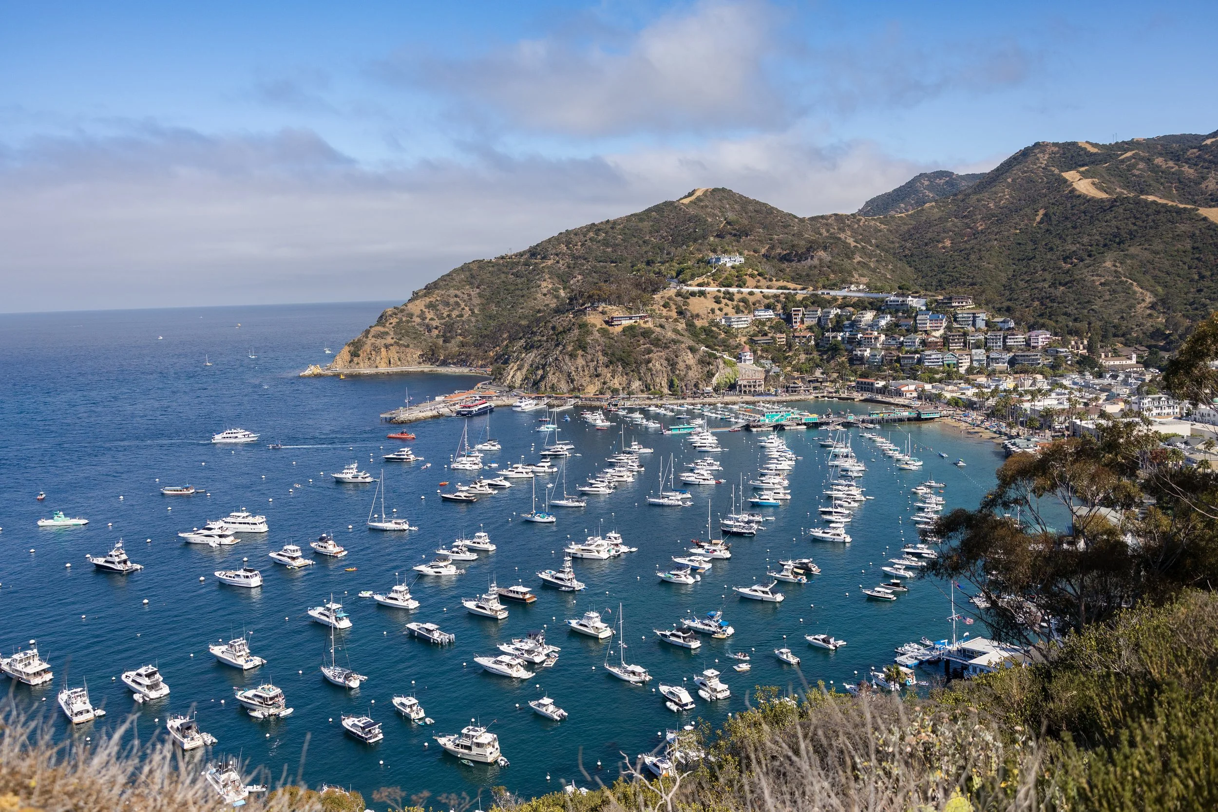 Matt and Lydia-7.jpg