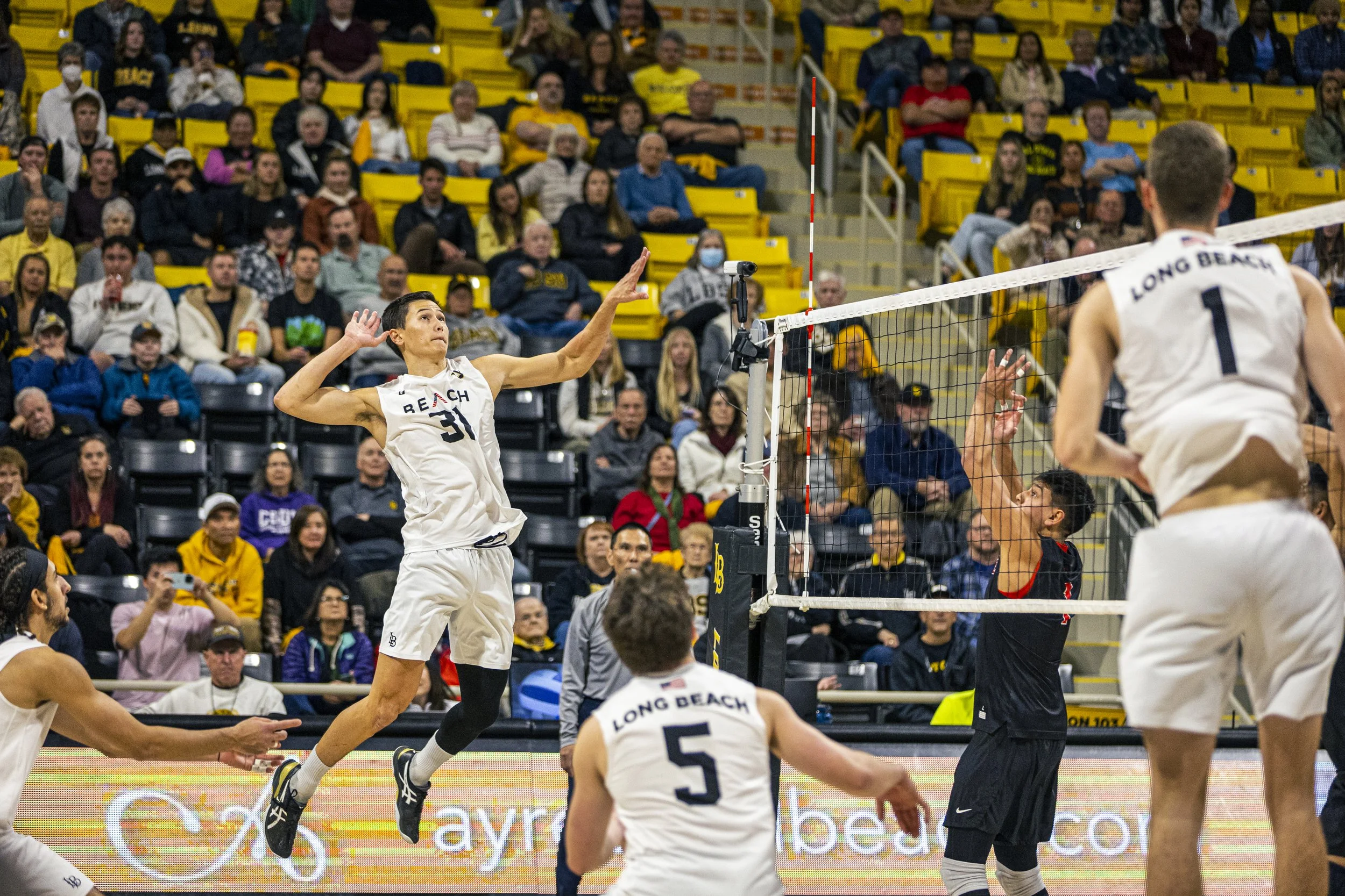 3-3 CSULB Volleyball-145.jpg