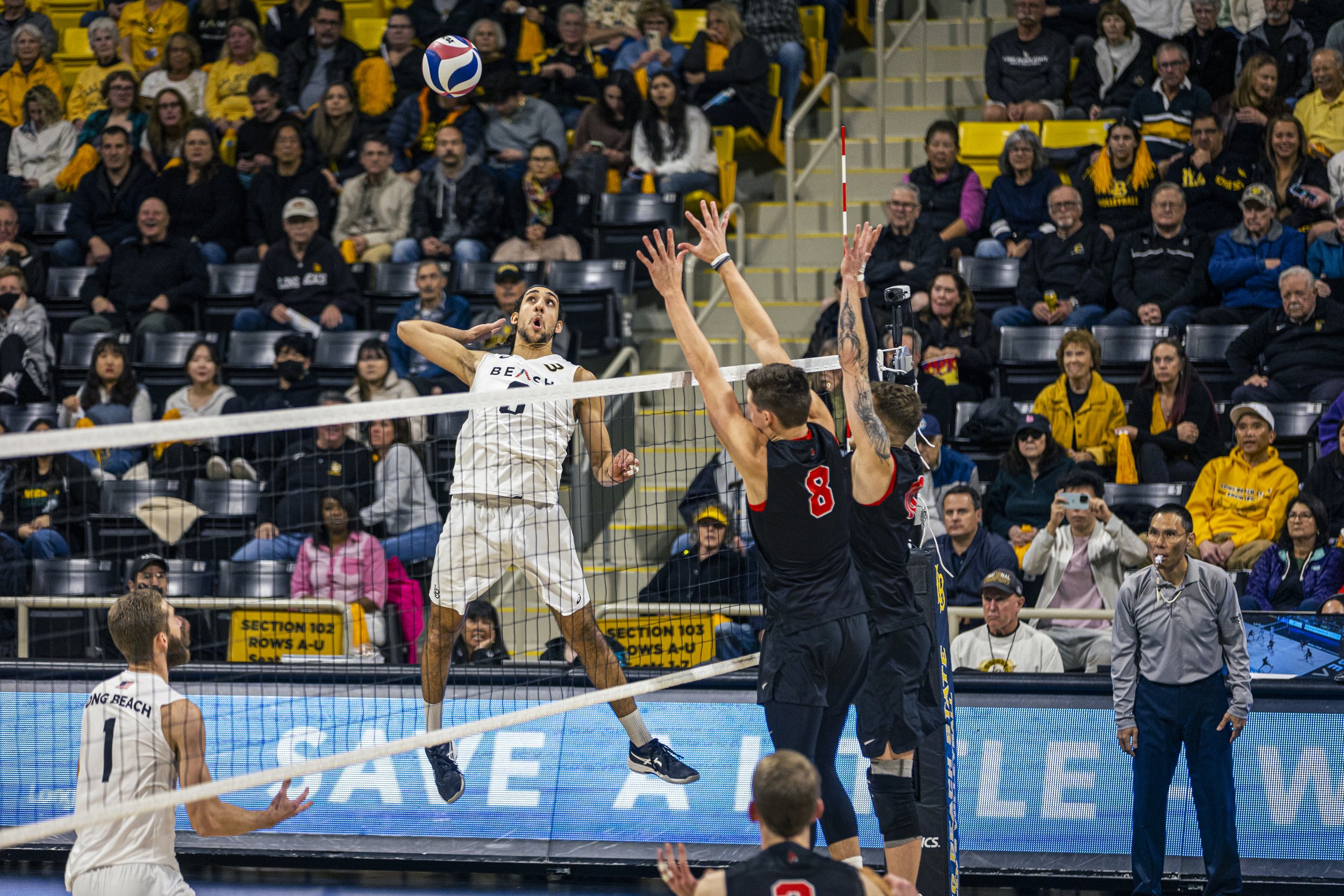 3-3 CSULB Volleyball-69.jpg