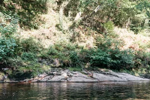 Sharragh Pool Wild Swimming at Sharrah Pool - Dartmoor — THE HUMBLE HOME