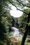 Sharragh Pool Wild Swimming at Sharrah Pool - Dartmoor — THE HUMBLE HOME