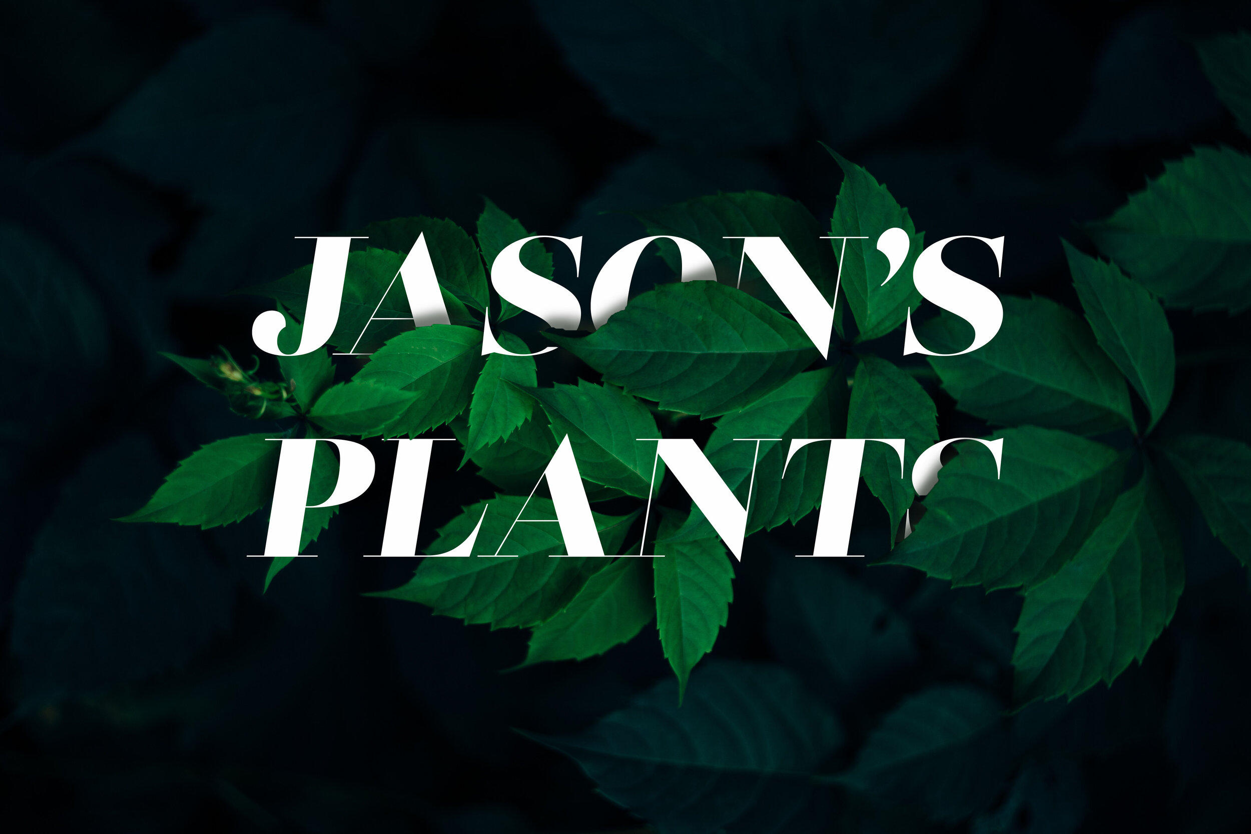 Jason Text Interaction v1.jpg