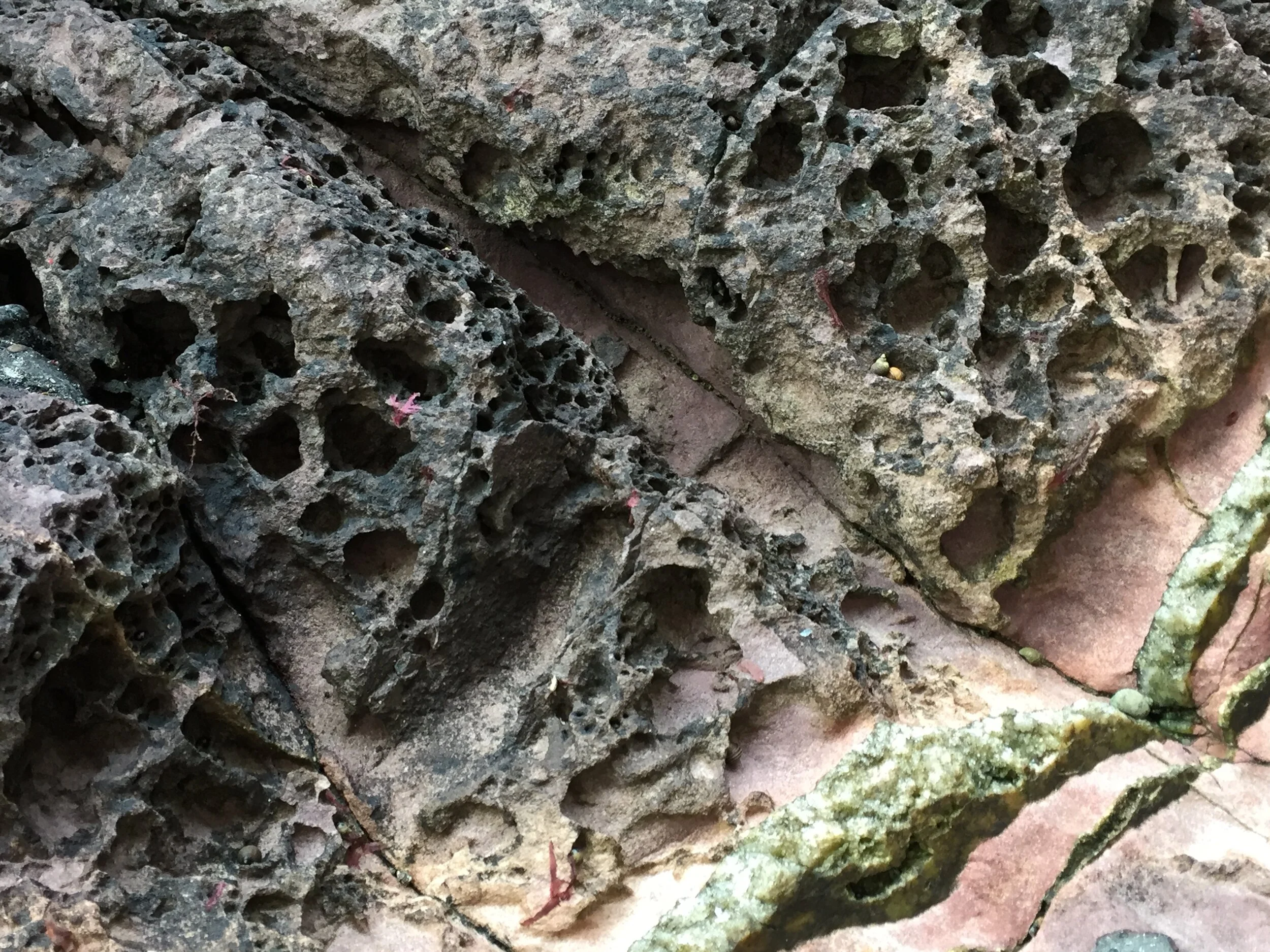 Ogmore rock surface texture