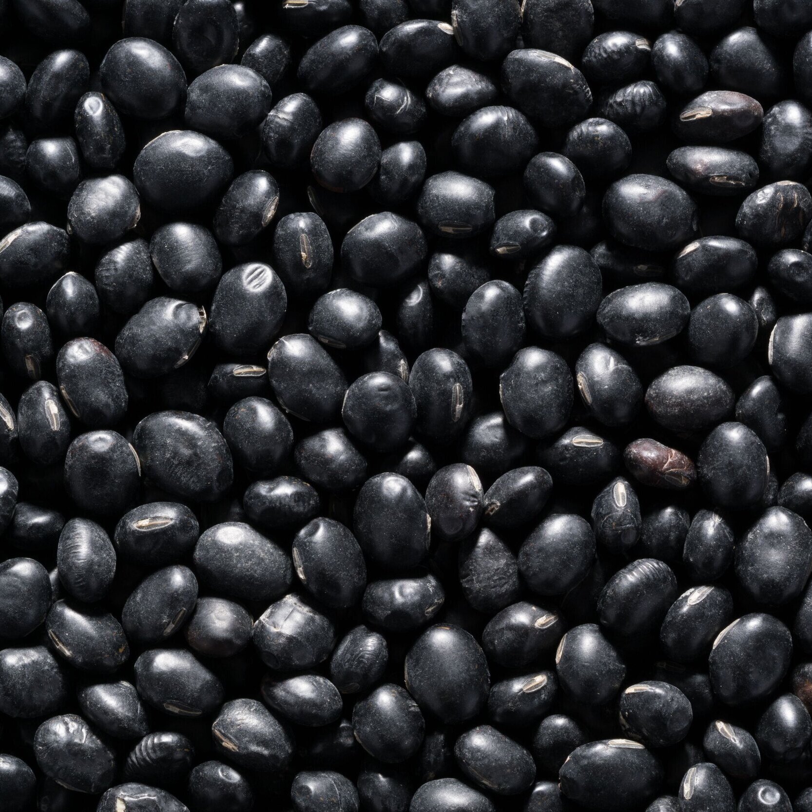 Black Beans