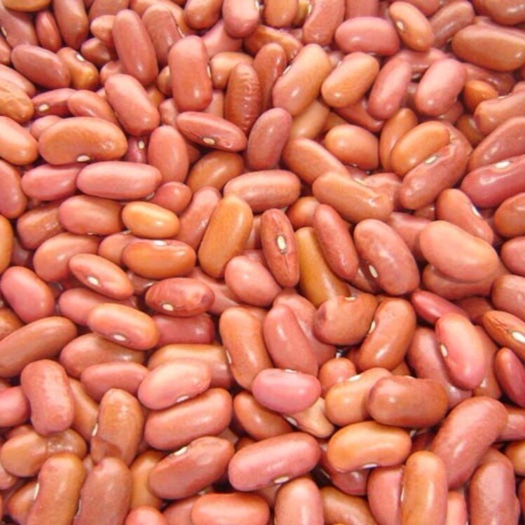 Light Red Kidney Beans