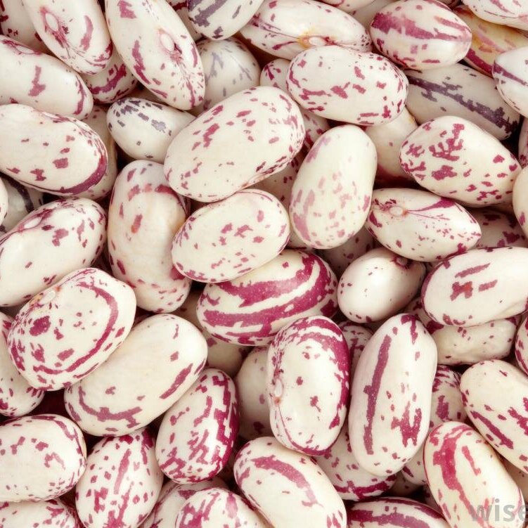 Cranberry Kidney Beans