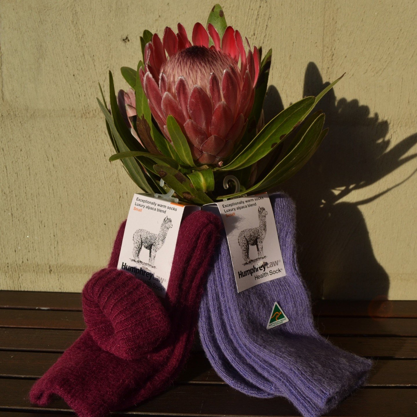 As the days shorten and the temperature drops, now is just the right time to experience the comfort and joy of pure alpaca yarn, handknits and socks.
Take a peek at our online shop for more ideas www.clifden.com.au/shop

#naturalfibres 
#blackalpaca
