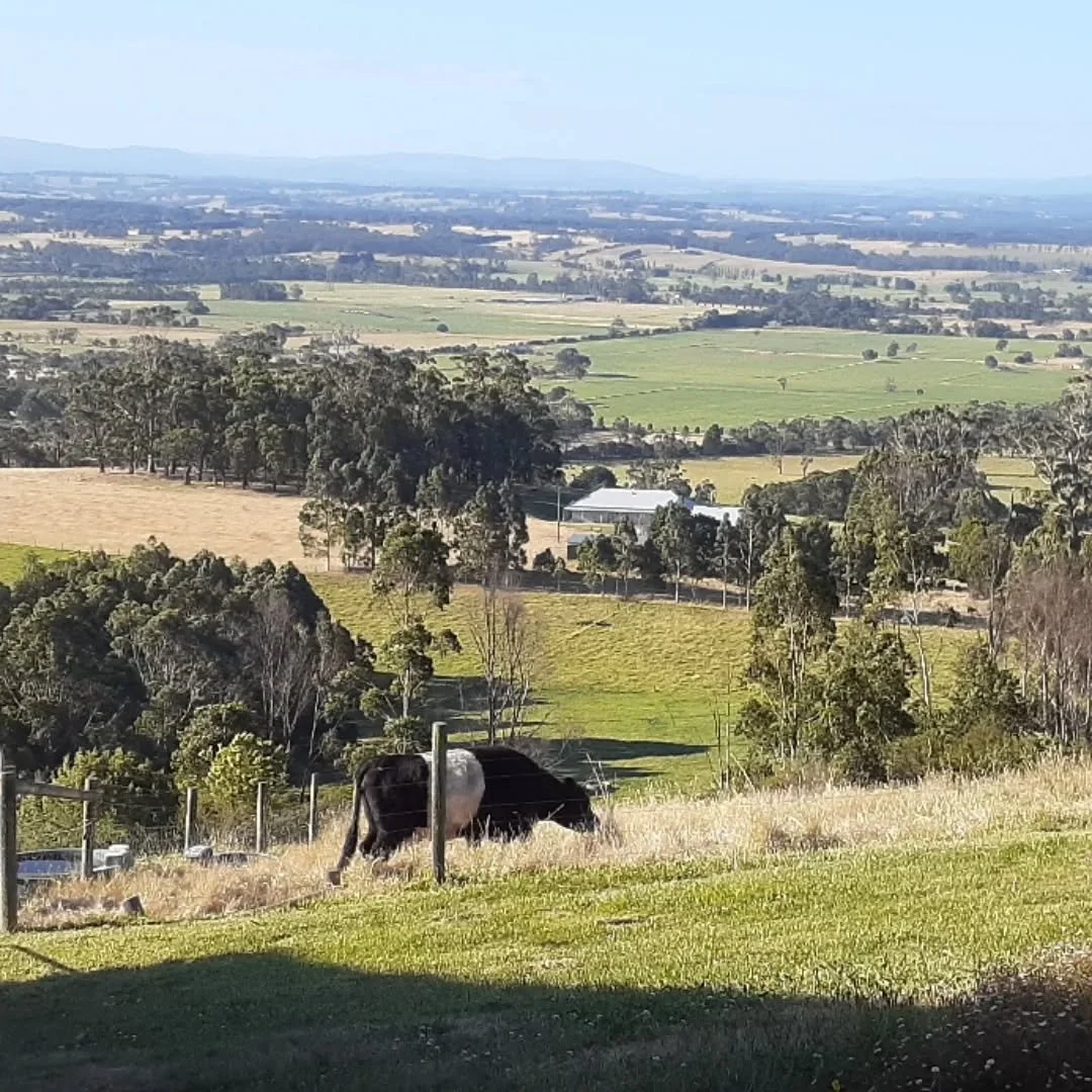 Still some smoke haze visible but nothing like the weekend that was. Pleasant weather conditions around Yarragon today but our thoughts are constantly with those across the Great DIvide and to  the west.  Heartbreaking.

#fire
#staysafe