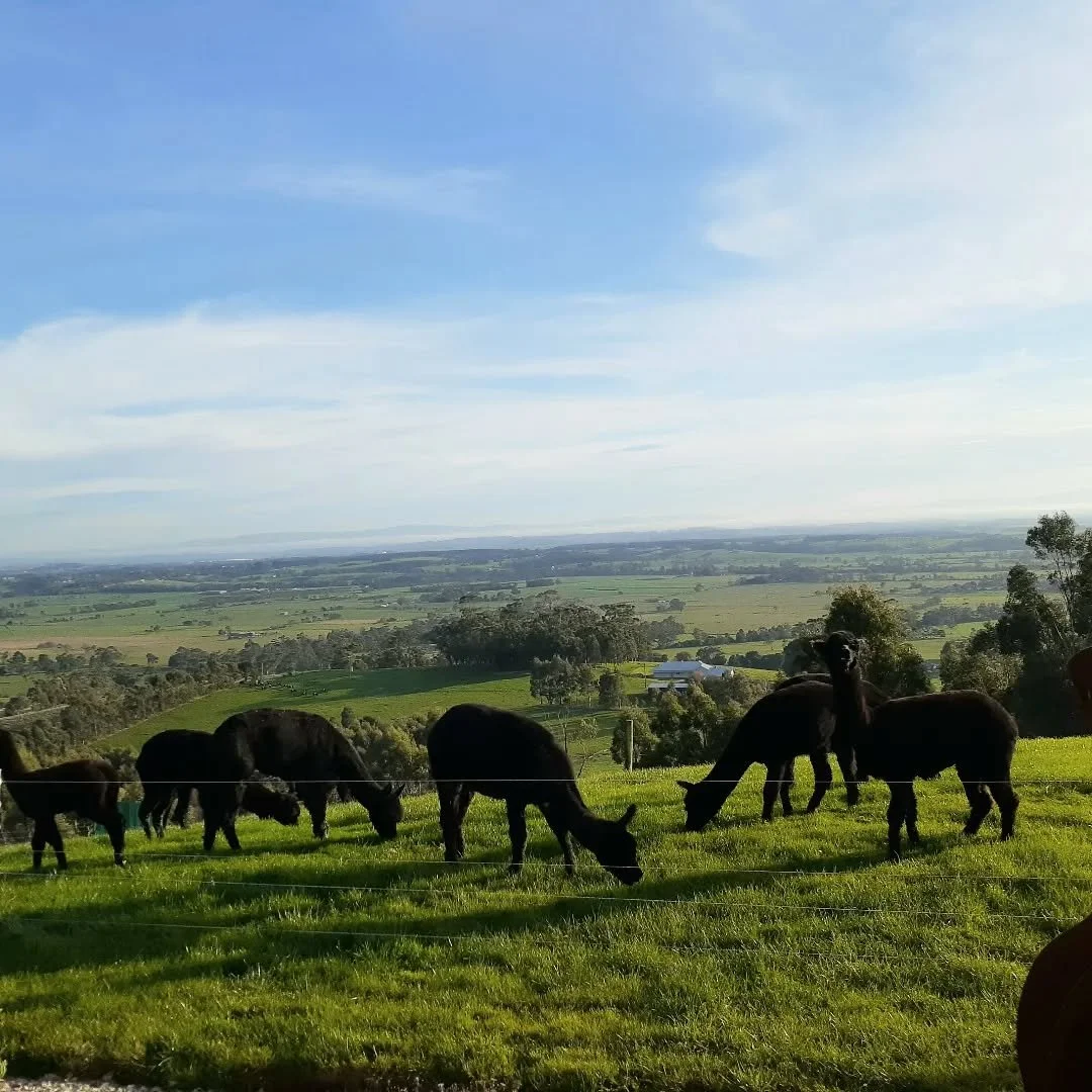 2026 is officially the Year of the Woman Farmer! 
Huge applause to all those pioneer women who have paved the way.
