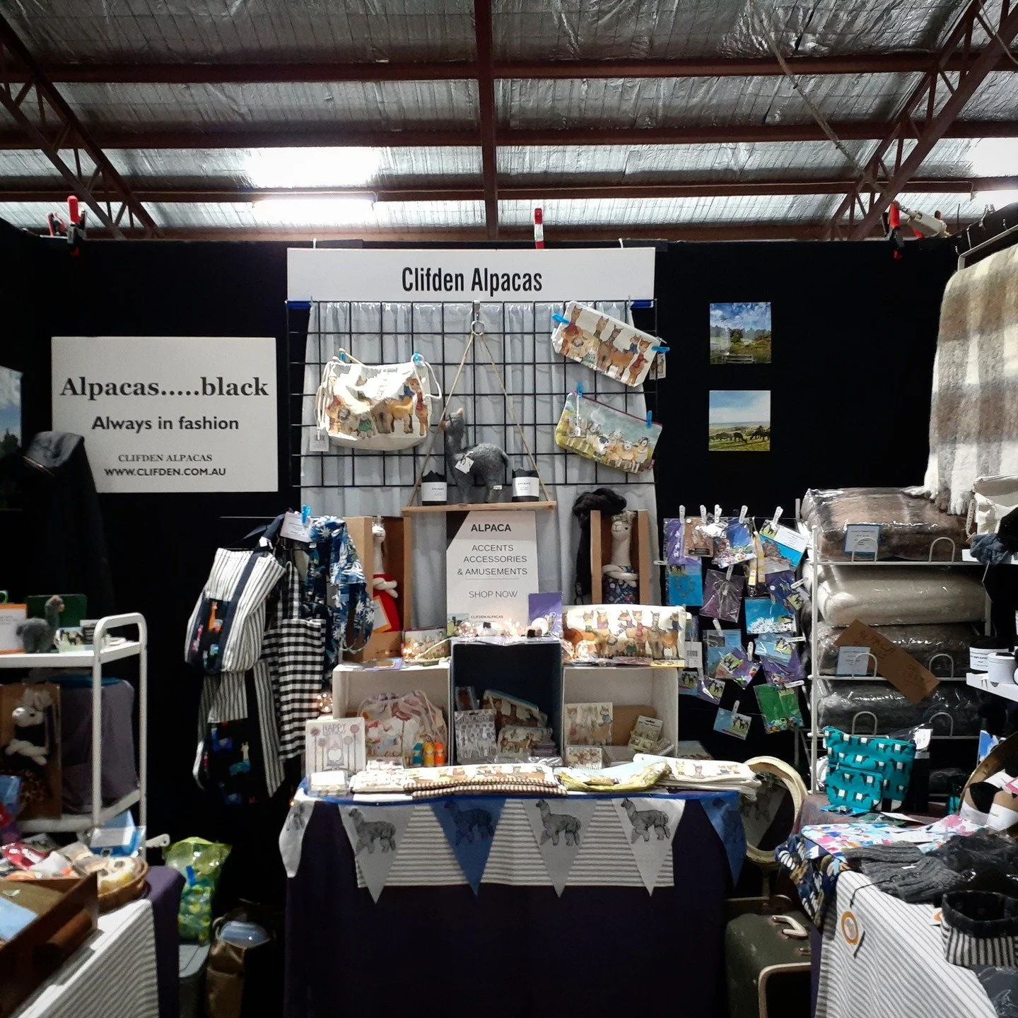 Just 10 weeks to go until the fabulous Australian Sheep and Wool Show in Bendigo! 17-19 July 2026
Have you secured your ticket yet? 
Clifden Alpacas will be there once again - really looking forward to catching up with well-loved customers and first 