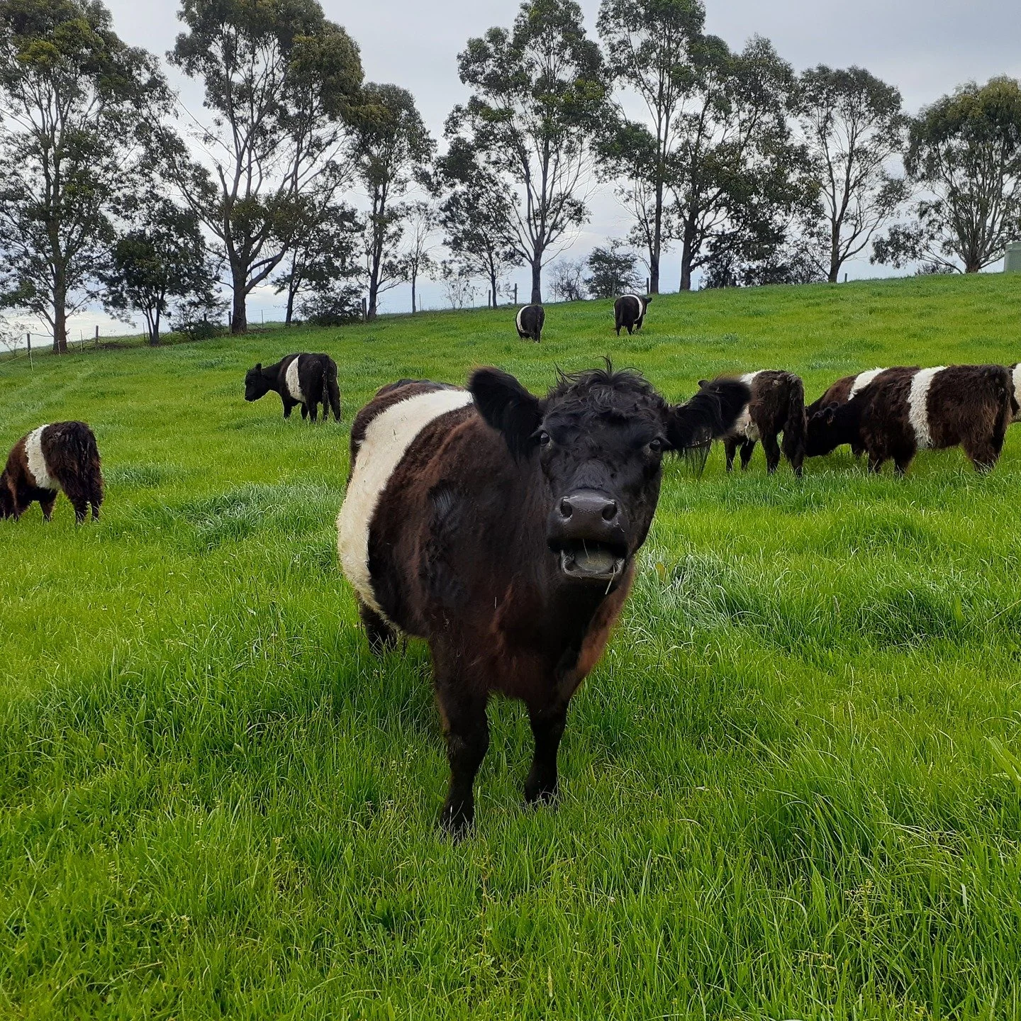 Someone's pretty excited that it is Friday!