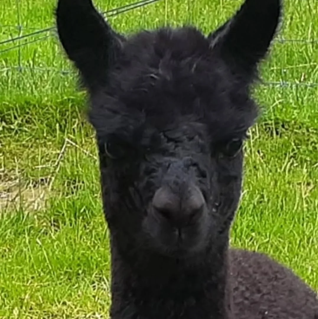 Flashback to a little boy, all grown up now!