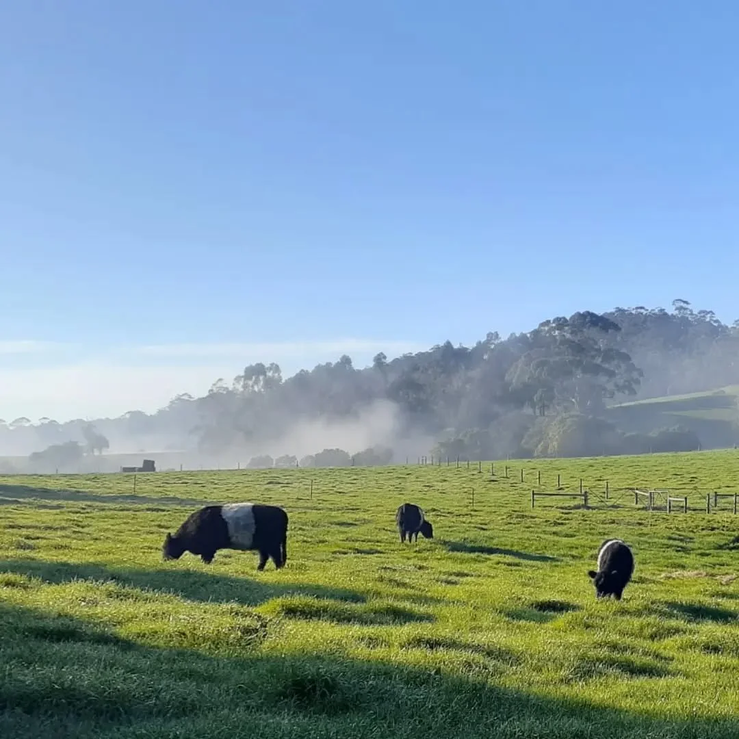 West Gippsland beautiful one day, even better the next.