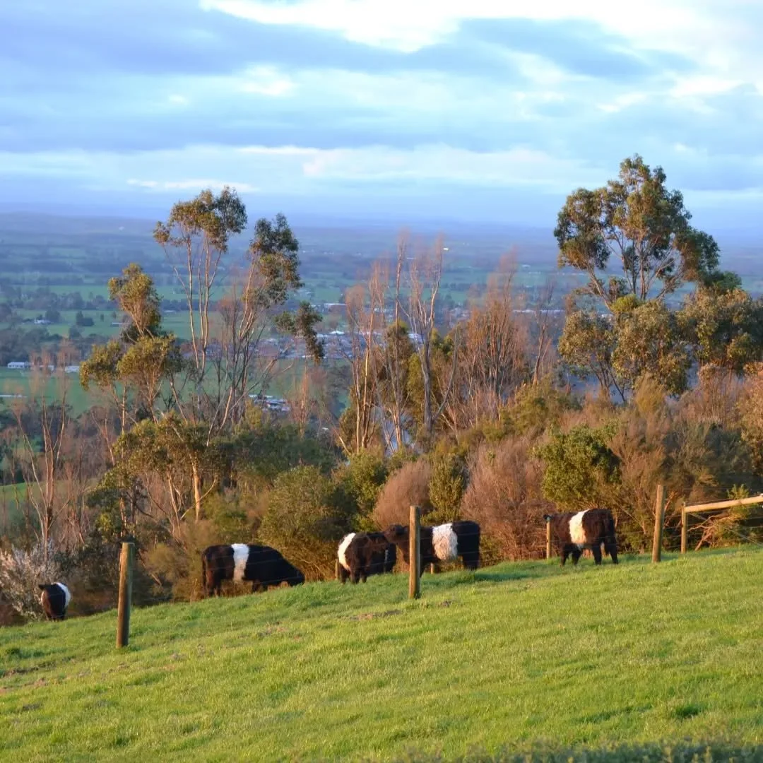 Golden hour at Clifden.