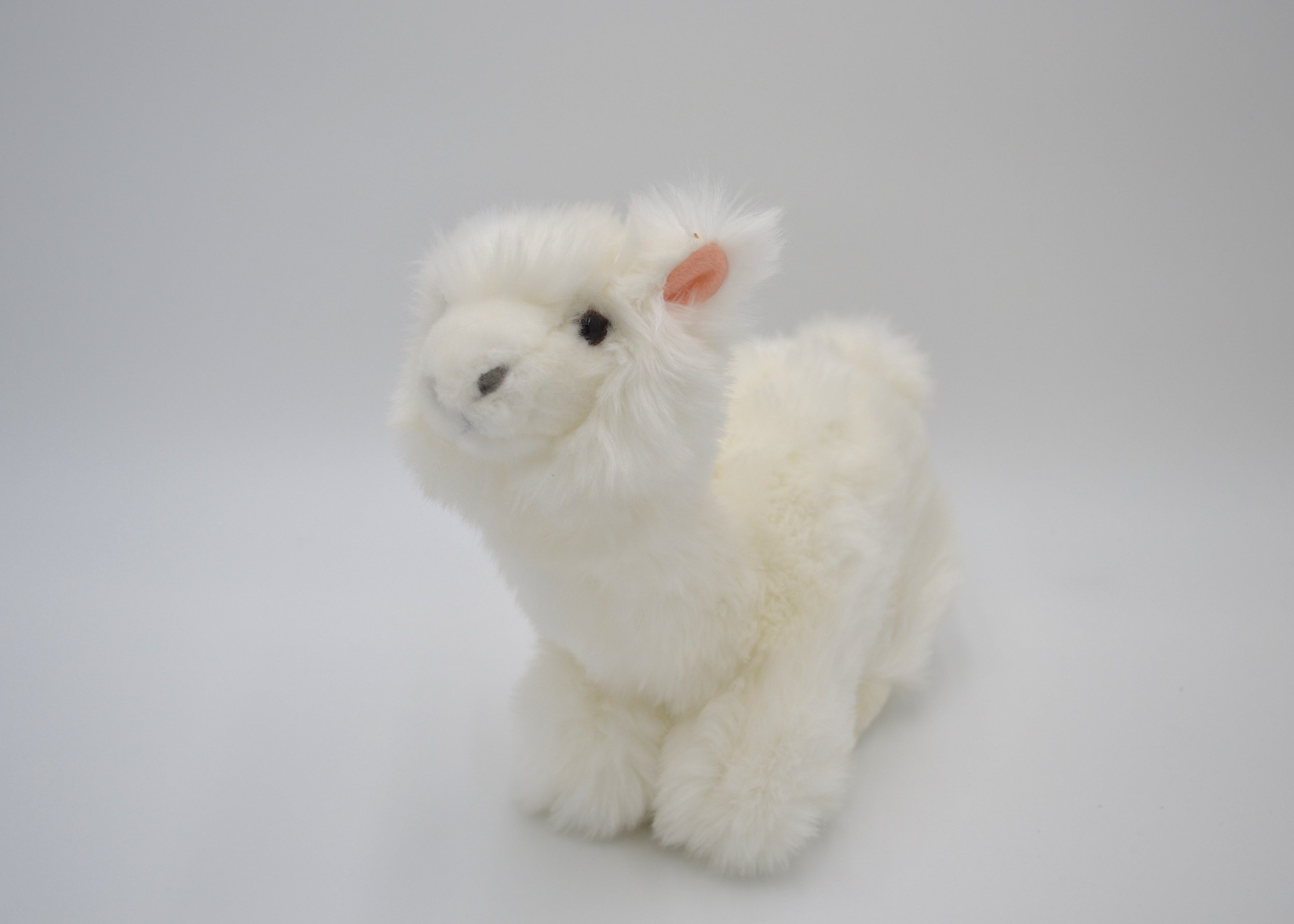 Alfredo Alpaca Bocchetta Plush Toys.JPG
