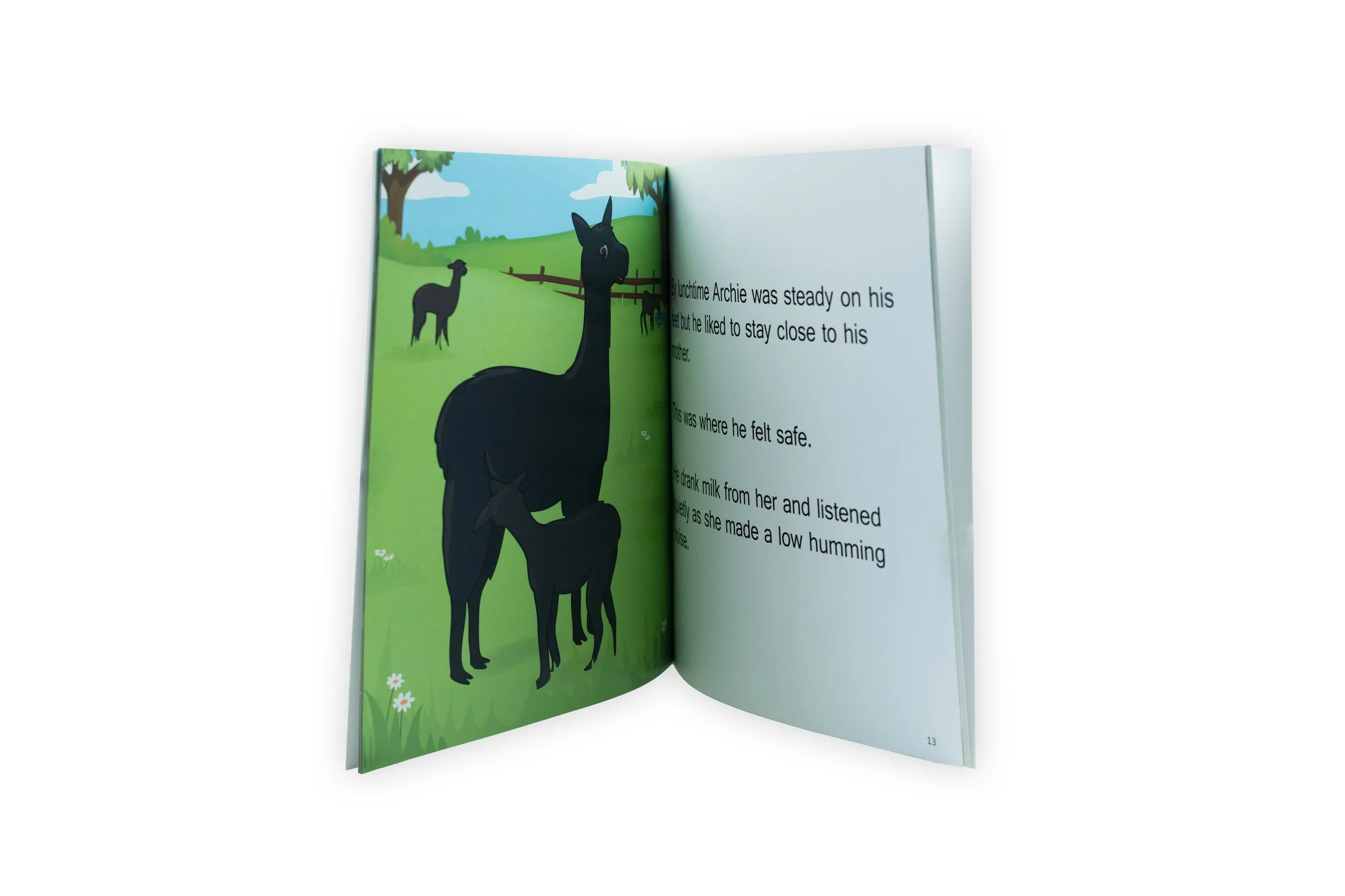Archie's Haircut Book and Alpaca Toy Gift Set — CLIFDEN FARM HOME