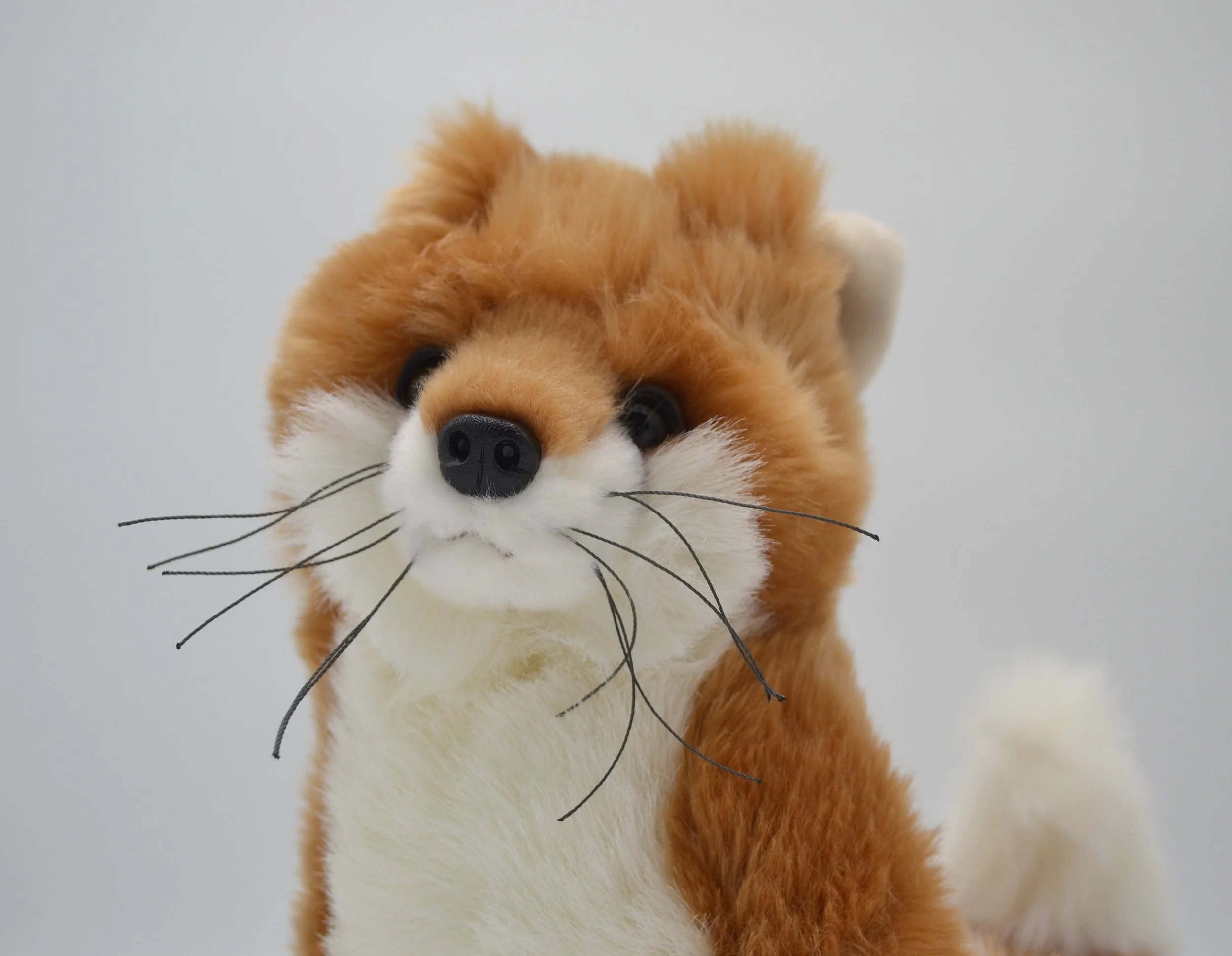 Reynard the Fox close up.JPG