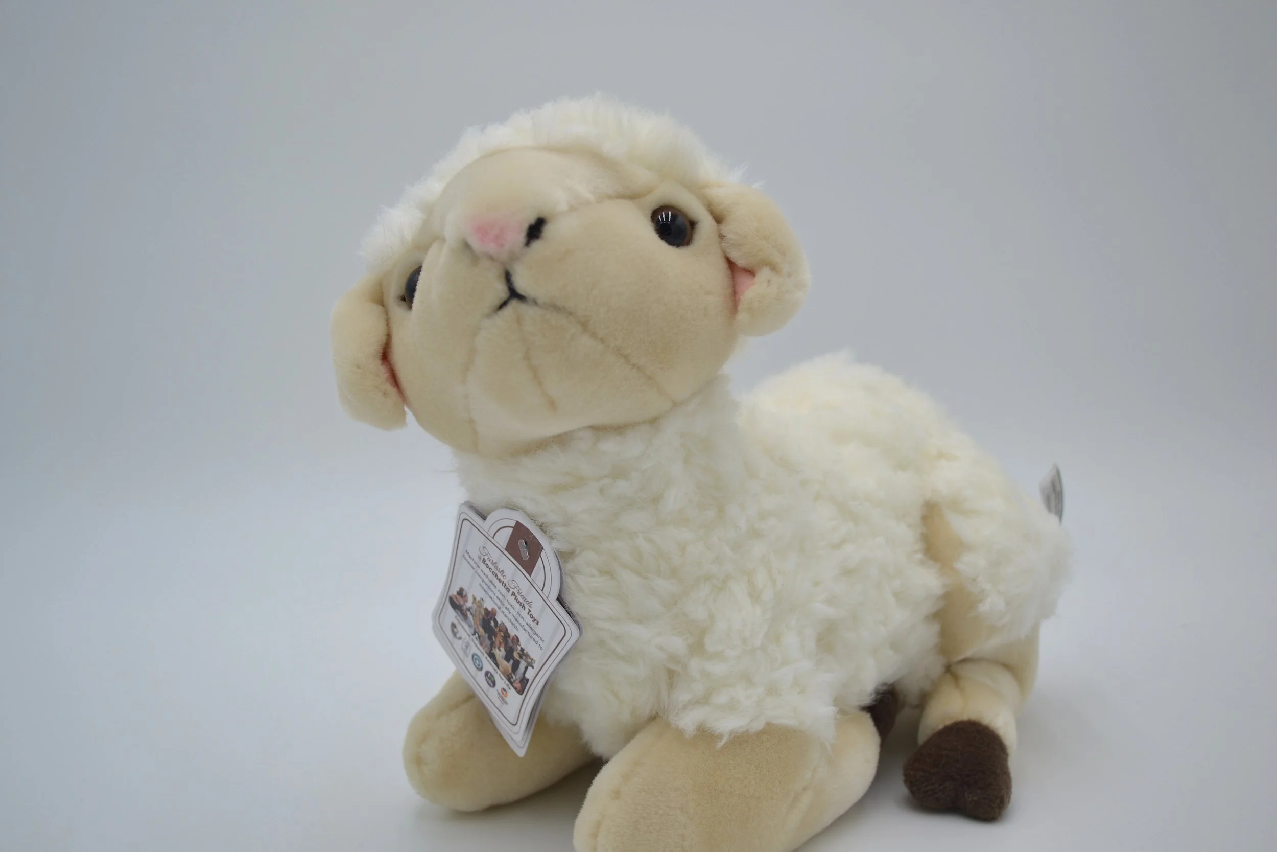 Lola Lamb sitting.JPG