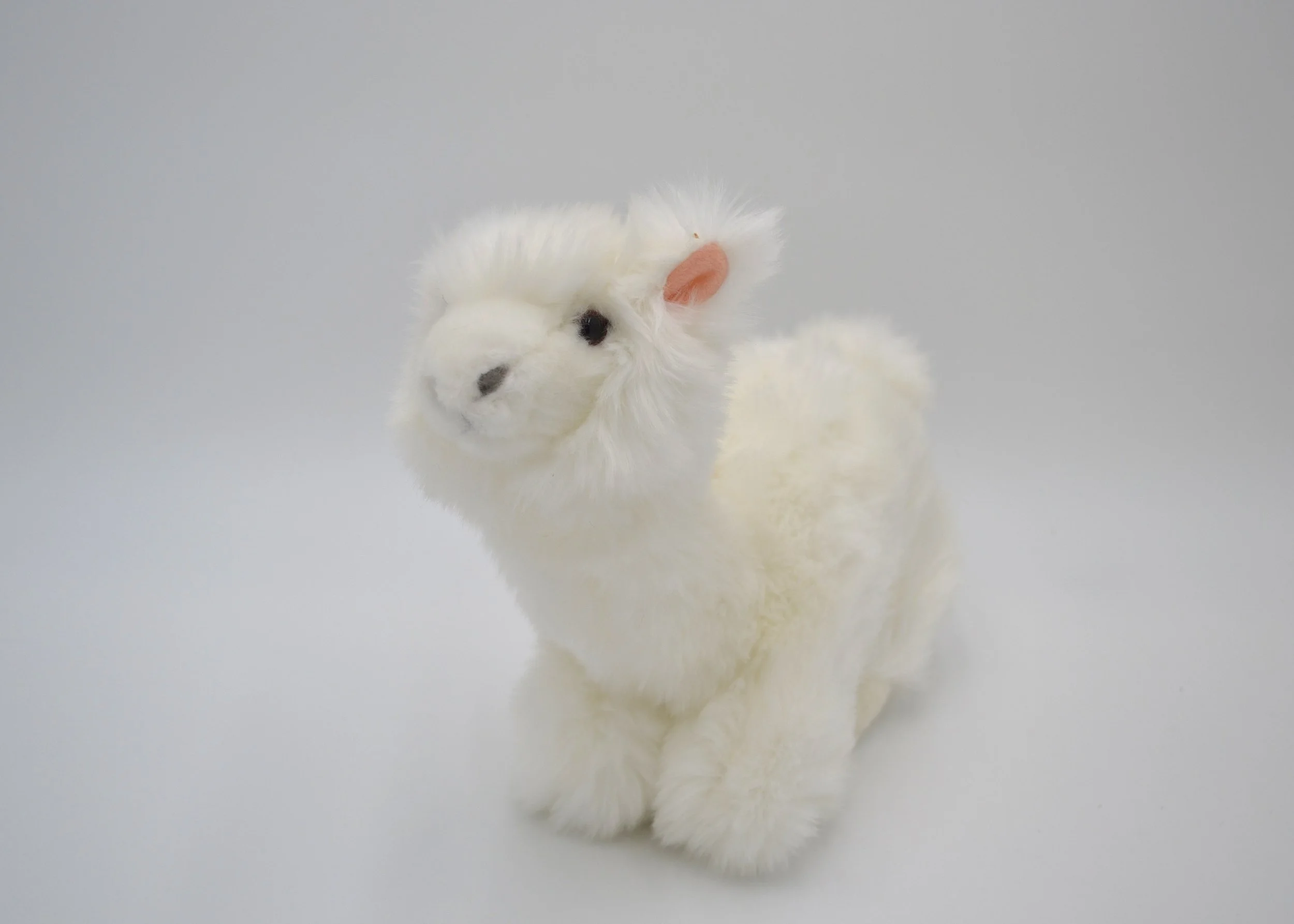 Alfredo Alpaca  25 cm  White