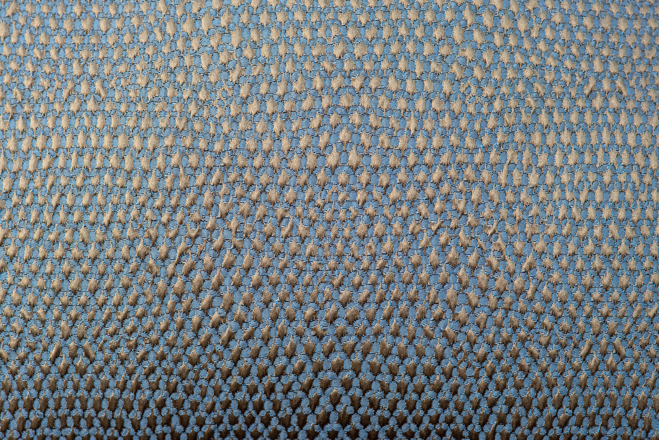 Larsen Ocean Close up.jpg