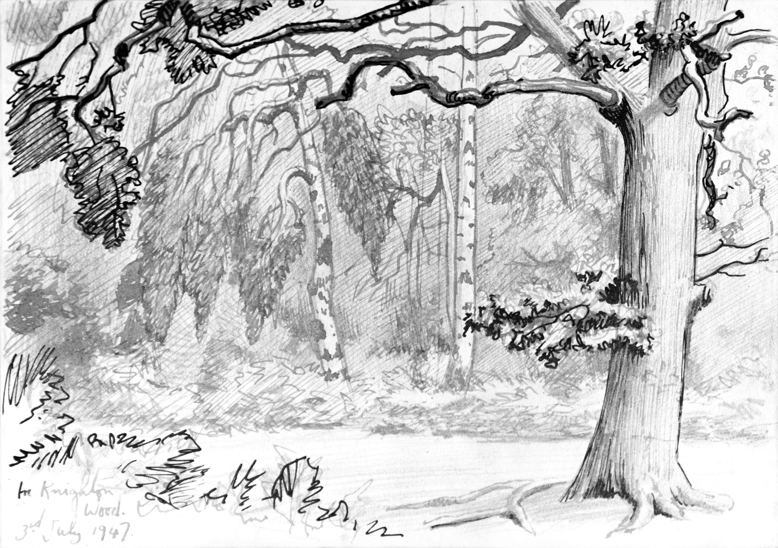 A black and white sketch of trees with detailed bark and leaves, with handwritten notes and a date, July 3rd, 1947, at the bottom.