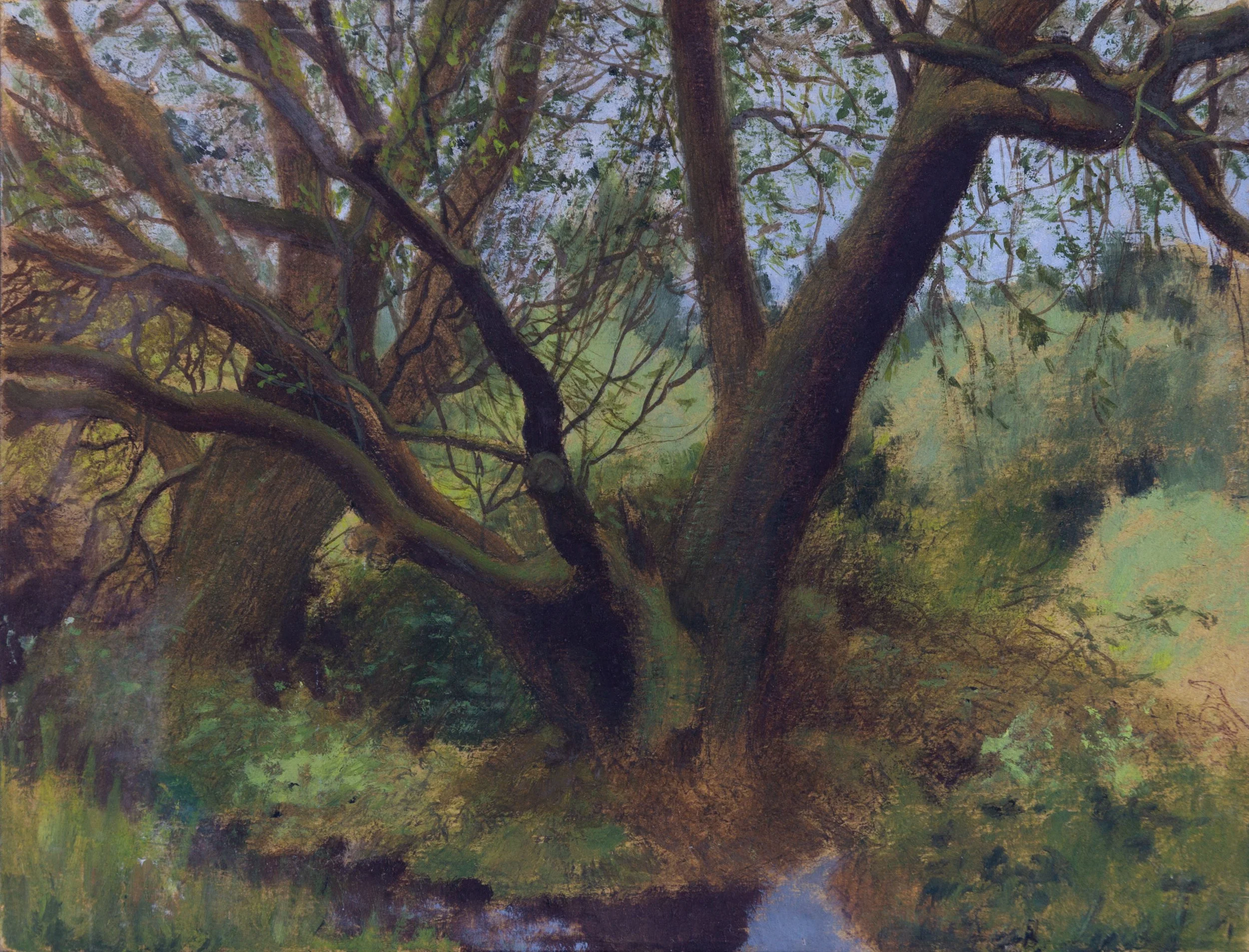 Oil painting of a large, leafless tree with thick, textured branches spreading outward and upward, against a soft, blurred background of greenery and sky.