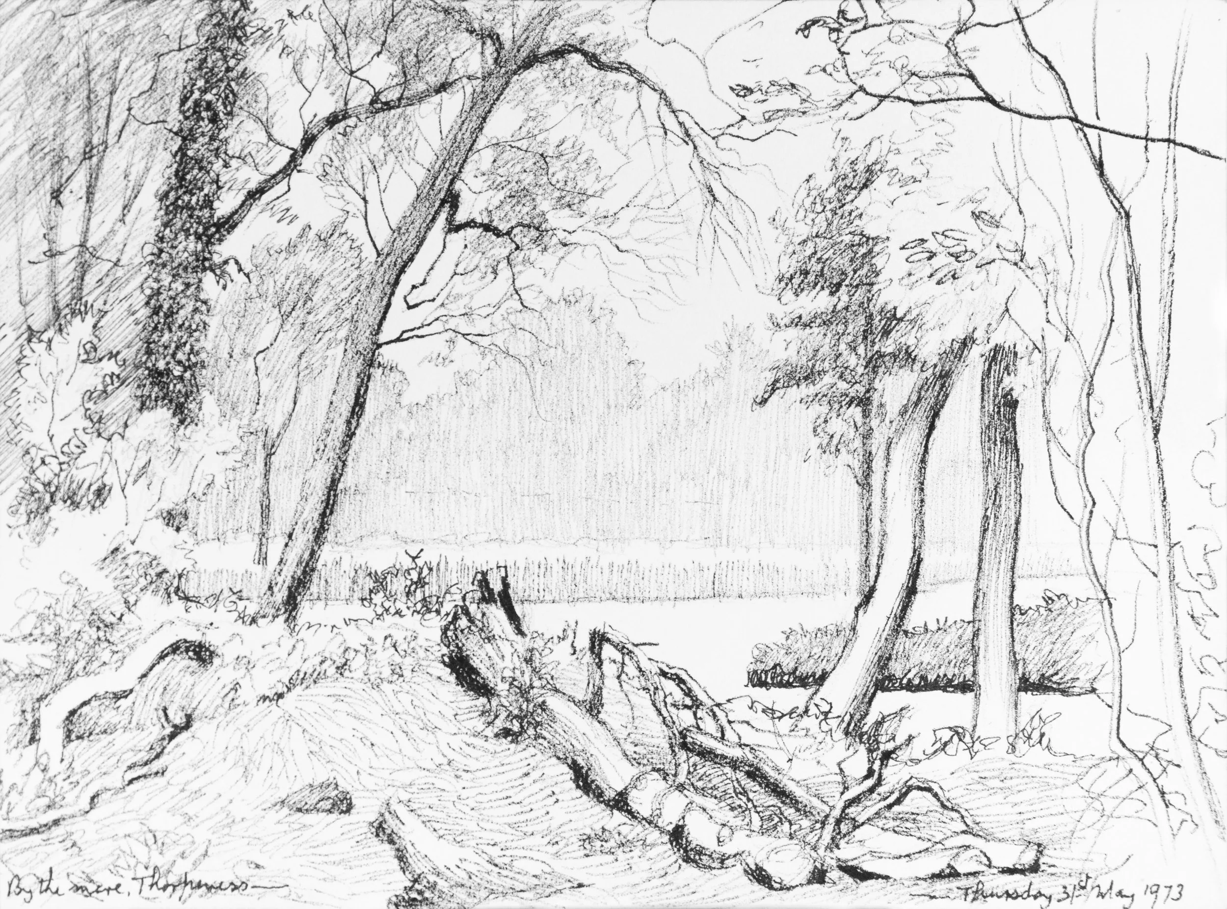 A black and white sketch of a landscape featuring tall trees with twisted branches and dense foliage, with grass or shrubs in the foreground, and a mountain or large hill in the background.