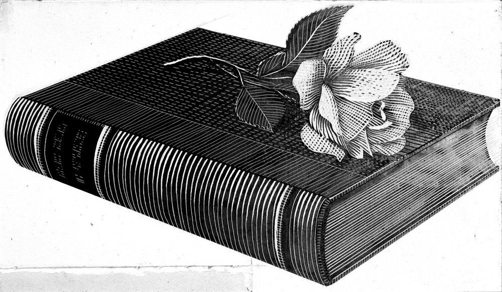 A detailed black and white drawing of a closed book with striped spine, adorned with a cluster of leaves and ribbon on top.