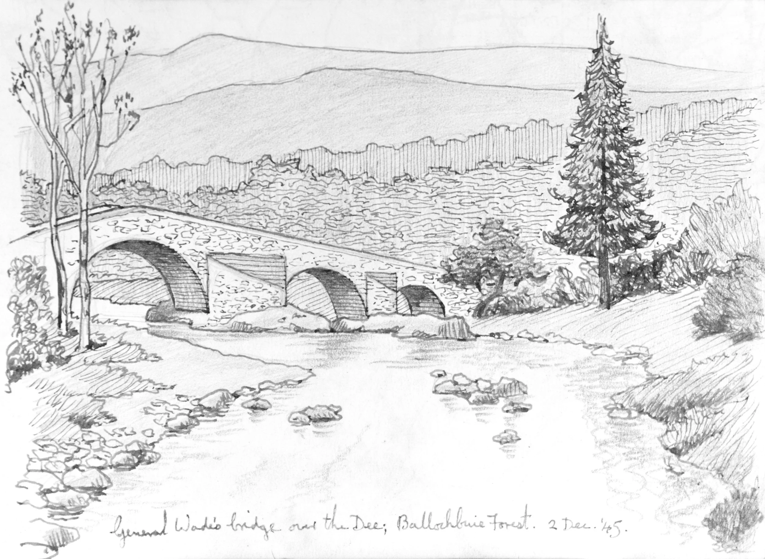 Sketch of a landscape featuring a stone bridge with multiple arches, a tall pine tree, a leafless deciduous tree, and rolling hills in the background.