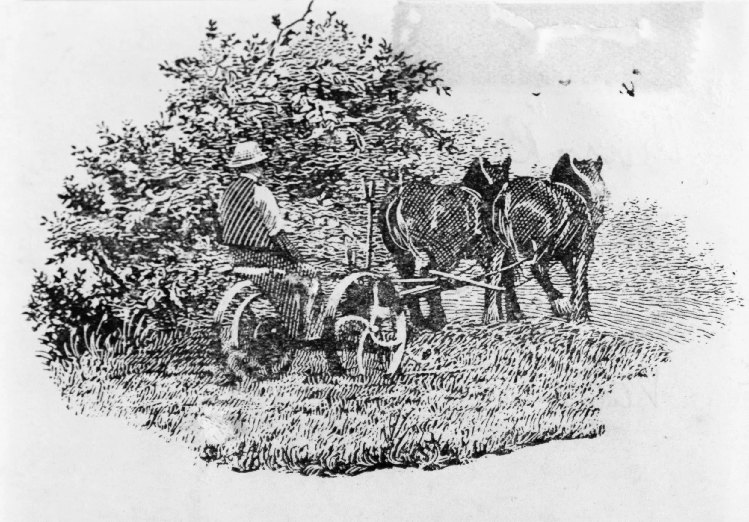 A black and white illustration of a farmer sitting in a field with a horse, surrounded by trees and birds in the sky.
