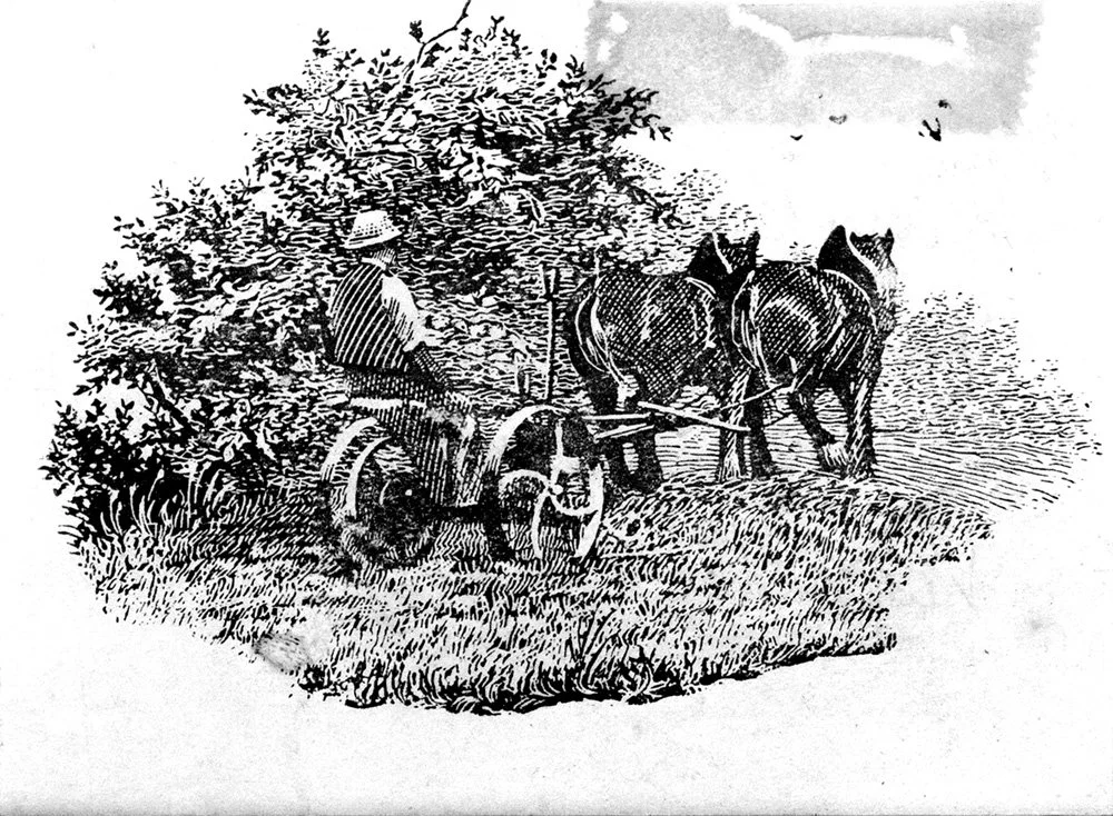 A black and white ink drawing of a farmer riding a horse-drawn plow, working in a field near a large leafy tree.