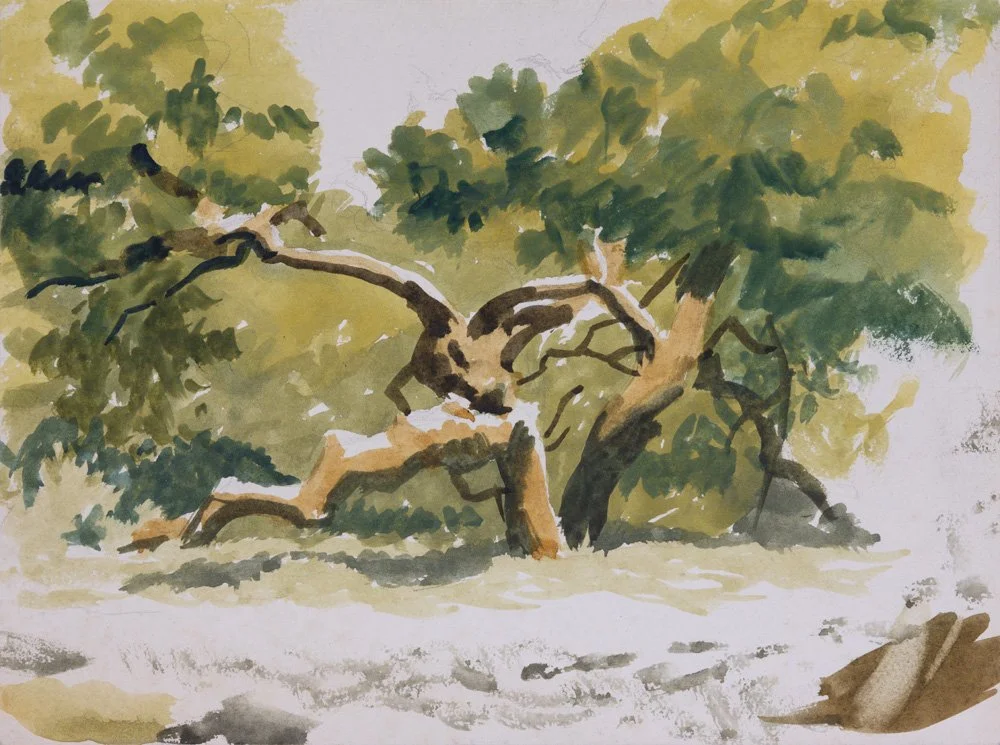 Watercolor painting of a tree with twisted branches and green foliage.