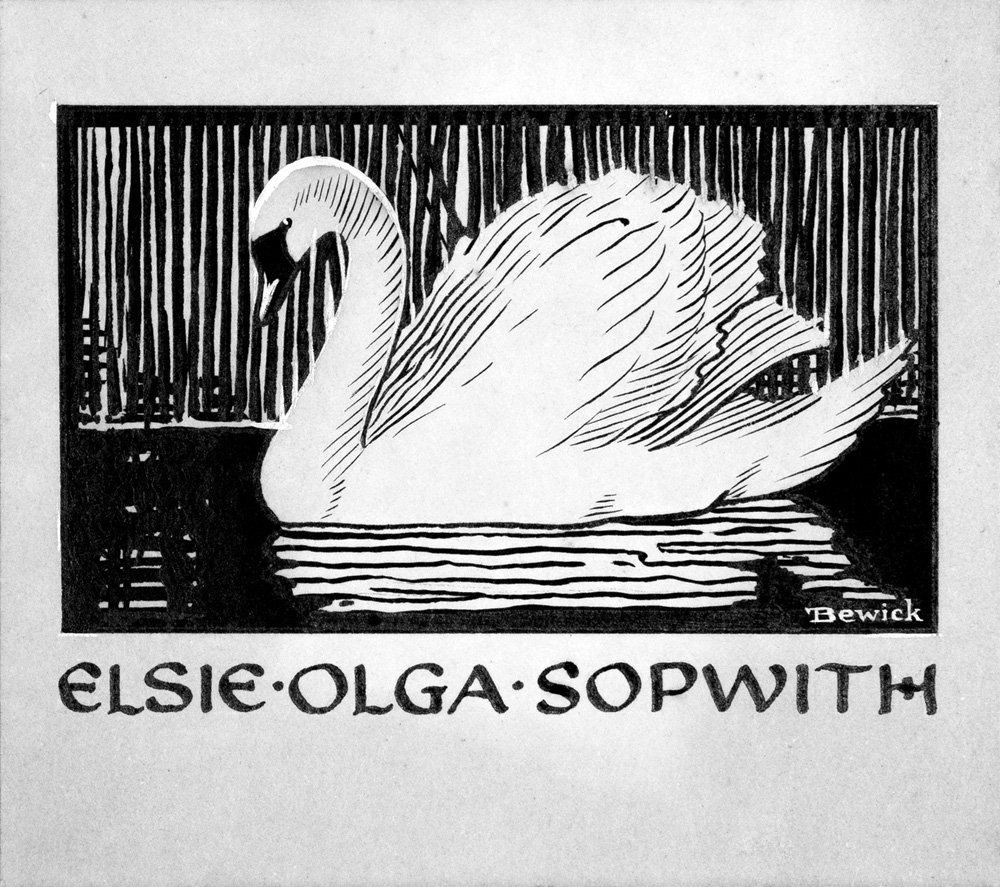 A black and white illustration of a swan on water with vertical lines in the background. The image includes the text 'Elsie Olga Sopwith' and is signed 'Bewick'.