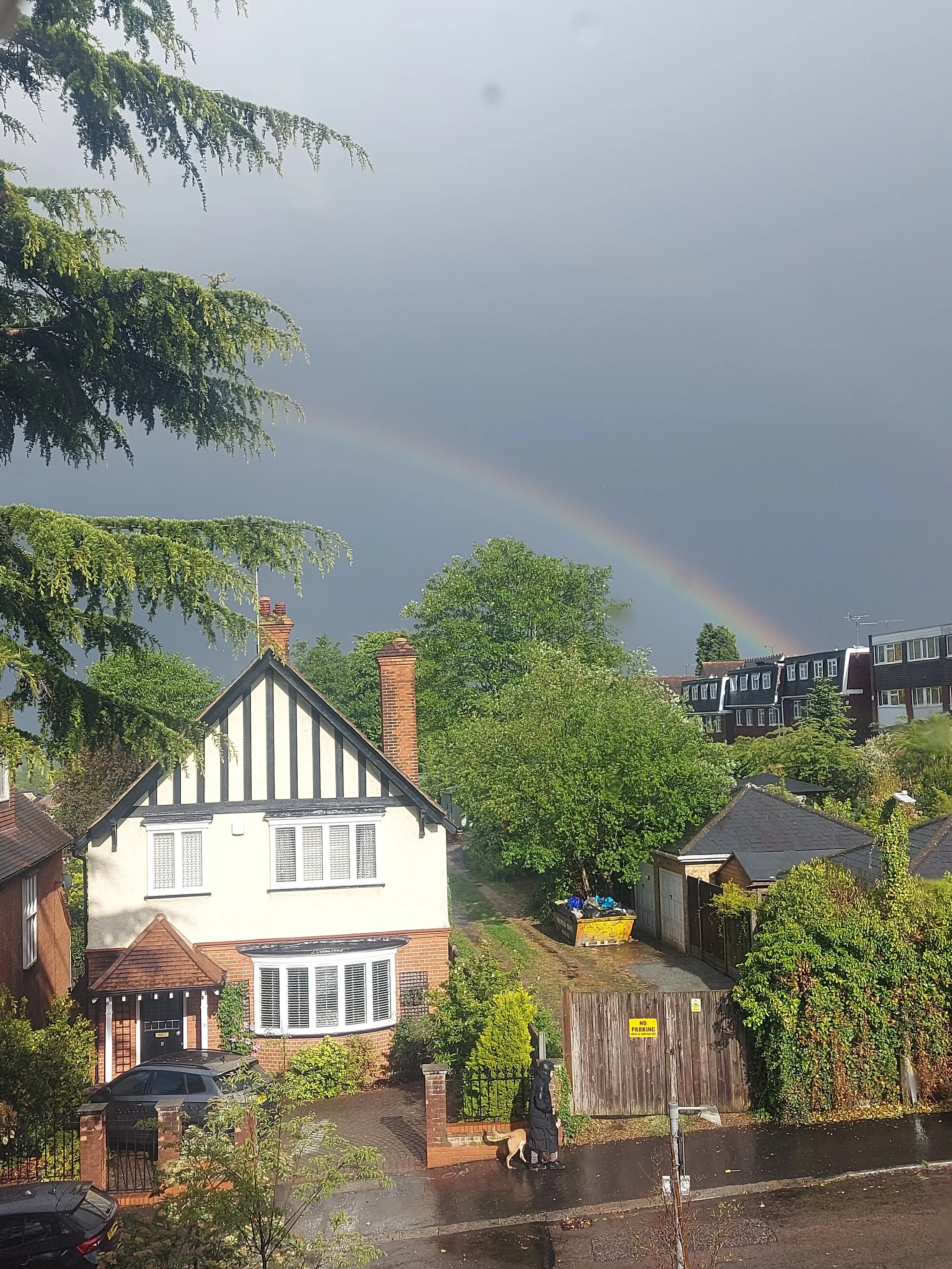May Rainbow