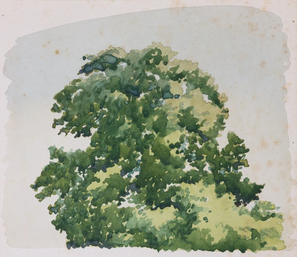 A watercolor painting of a large, leafy green tree with dense foliage.