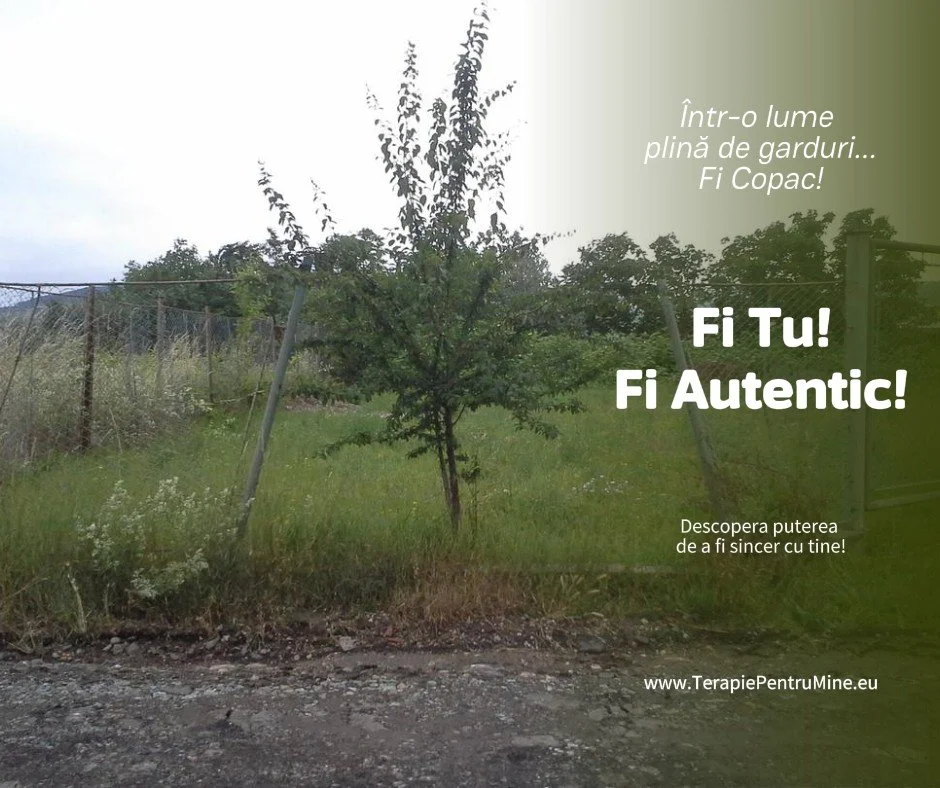 Rolul și Importanța Autenticității: Ghid pentru Dezvoltarea și Antrenarea Acestei Calități Centrale