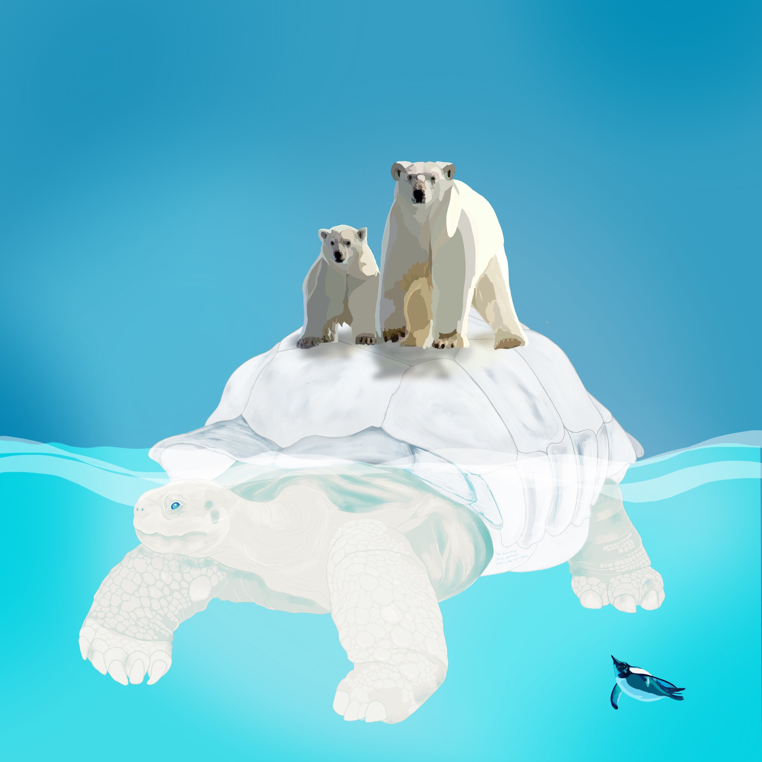 Mirabilis Polar Bears