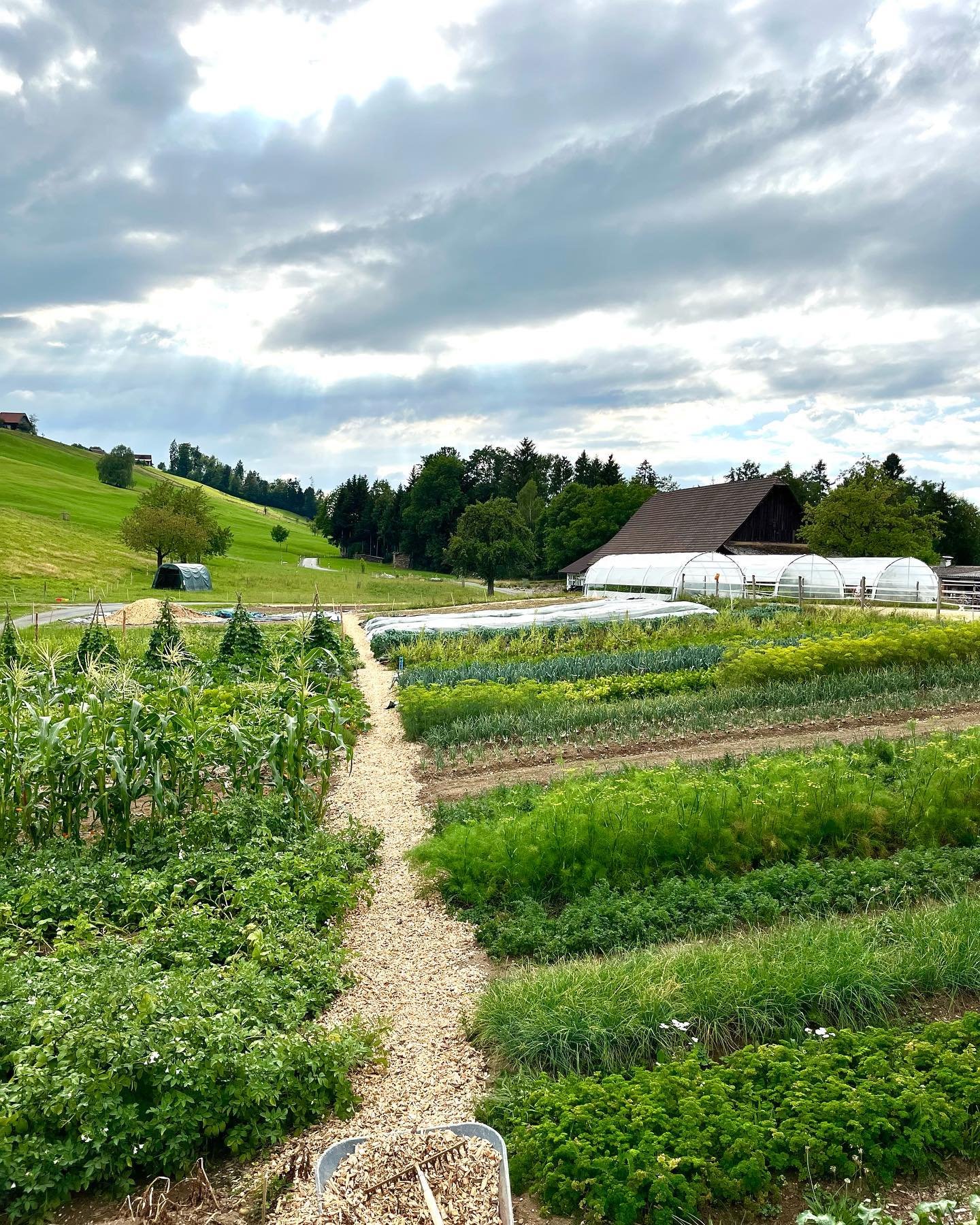 Grüezi Garten Teamevent mit Showcooking und Wissenstransfer KRAFTMARKT 10.jpg