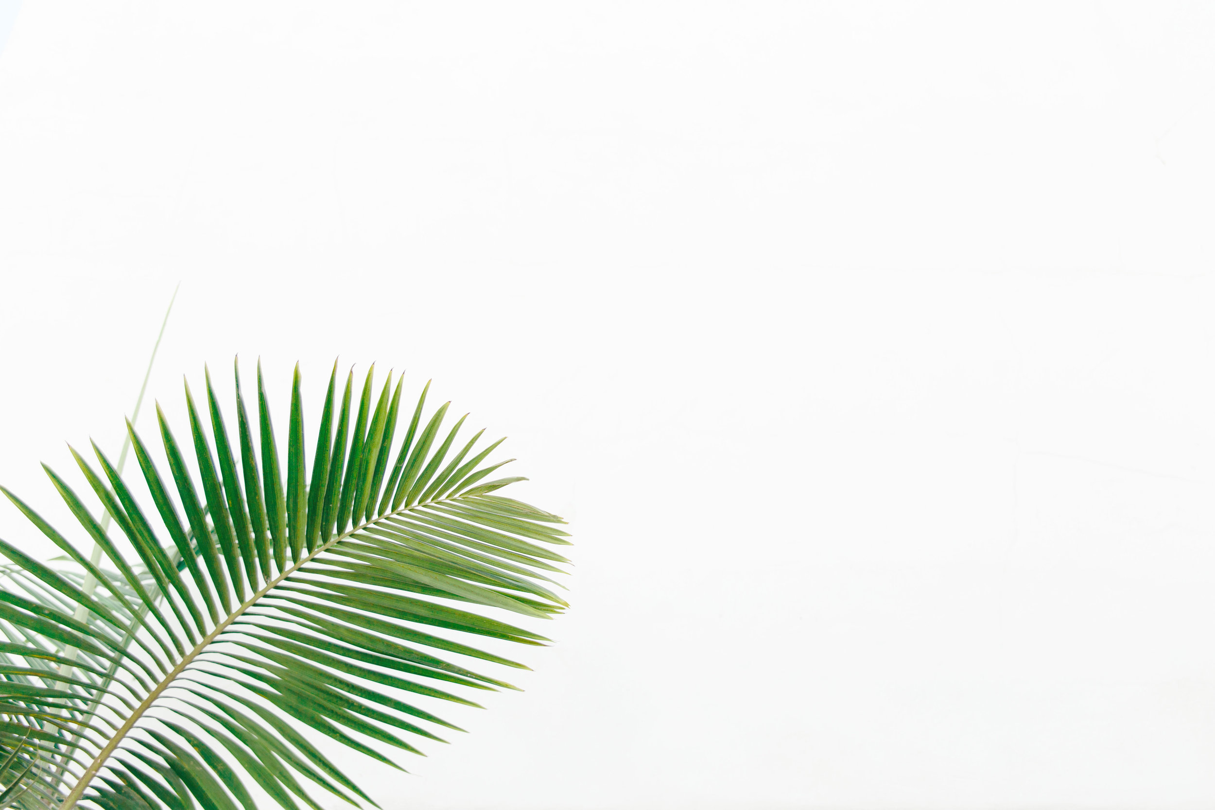 Brand Strategy // Conducting a Brand Audit 