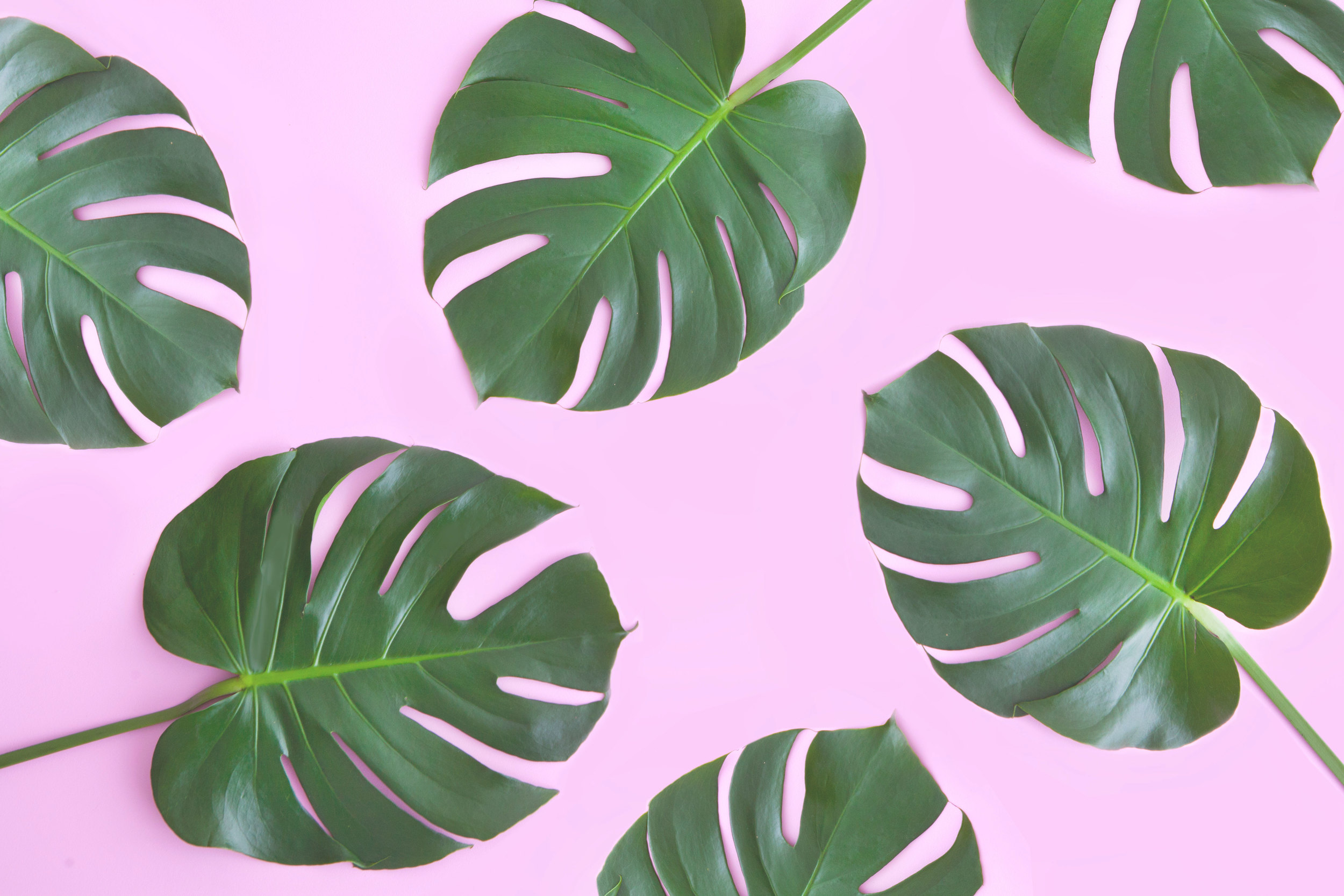 Thoughts on The New Instagram Algorithm, and Why You Should Be Focusing on Content and Community Instead