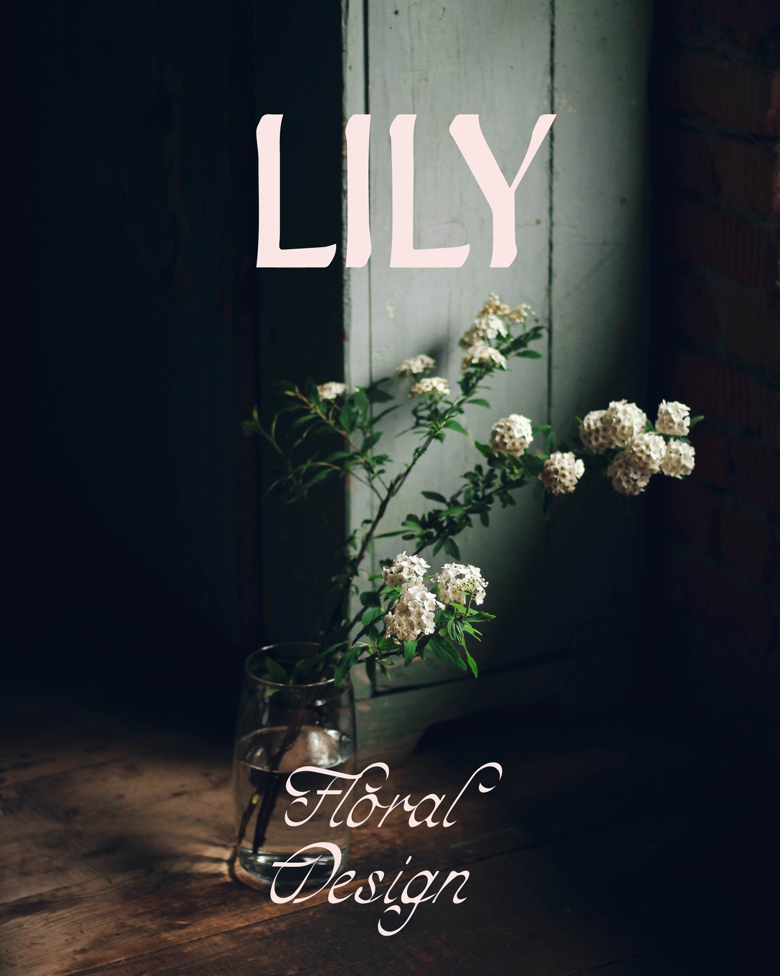 Lily_Mockups-04.jpg