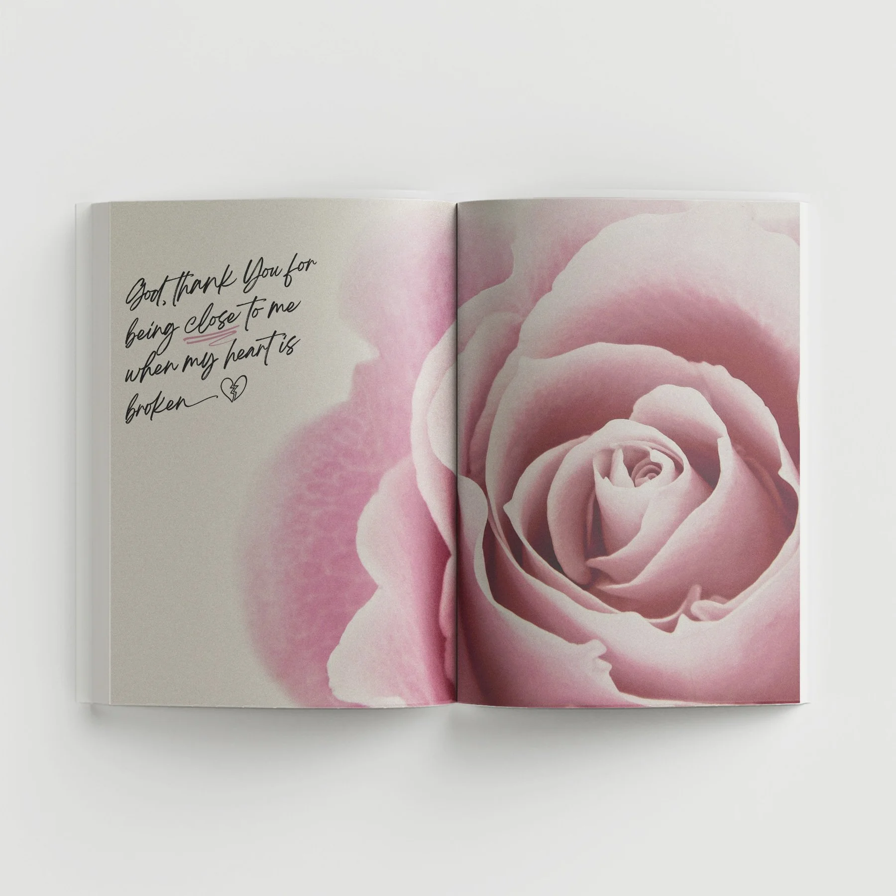 Living-Loved-Open-Spread-06.jpg