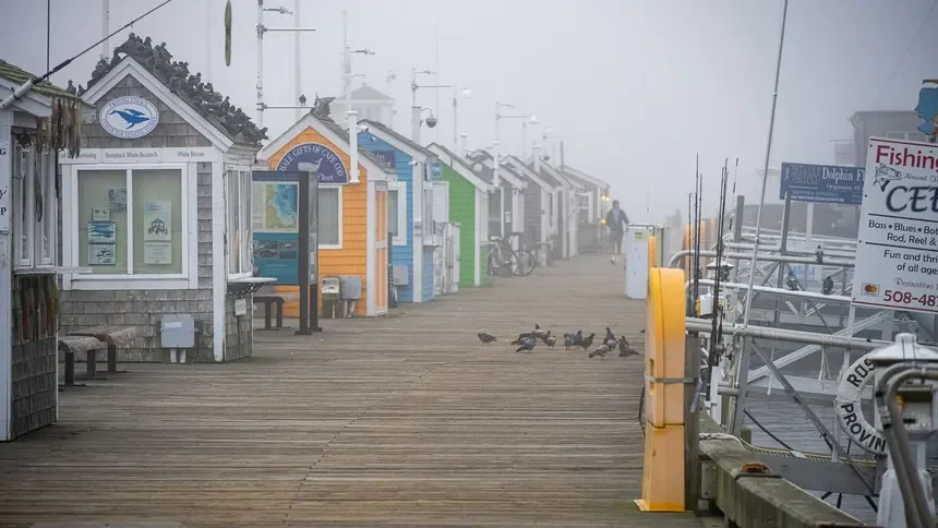 Provincetown Trap Shed 