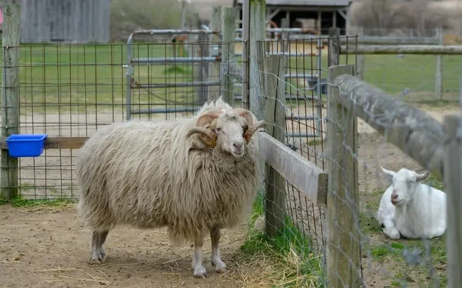 Taylor Bray Farm